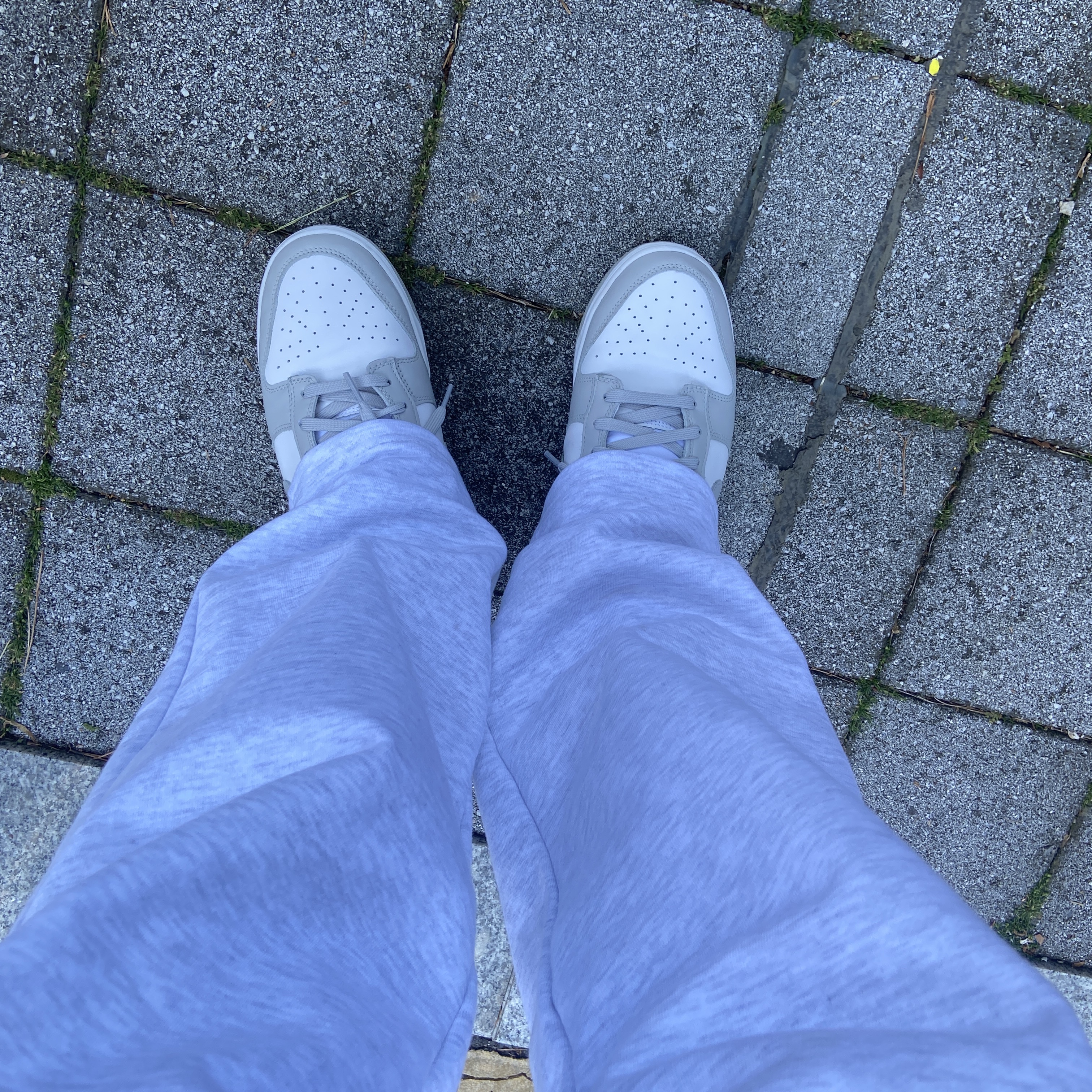 Nike Dunk Low Retro Grey Fog 착용 스타일