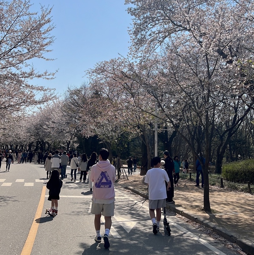 Palace Reacto Tri-Ferg Hood Pink - 23SS, Essentials The Core Collection Sweatshorts Light Oatmeal 착용 스타일 - 3