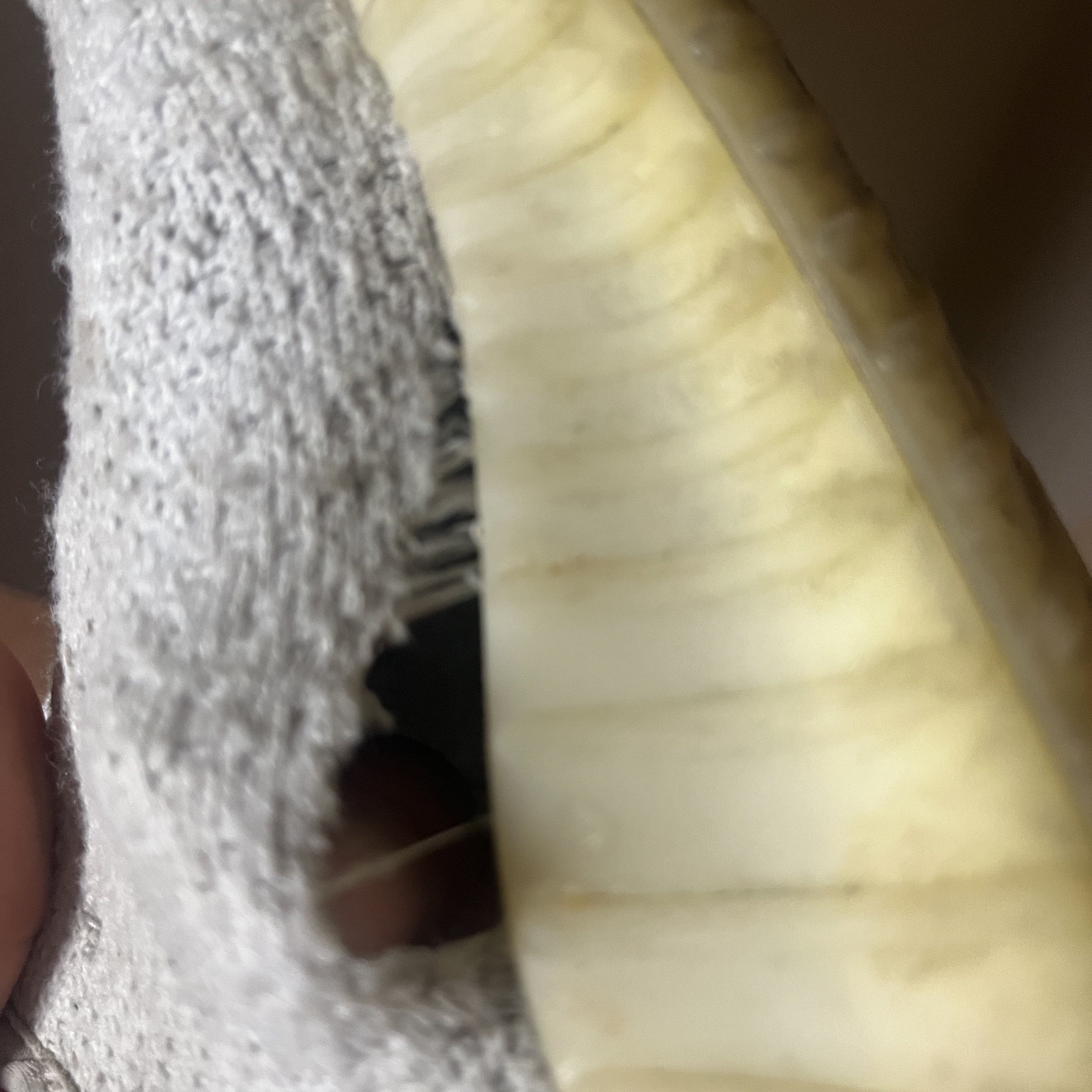 Adidas Yeezy Boost 350 V2 Cream/Triple White 착용 스타일