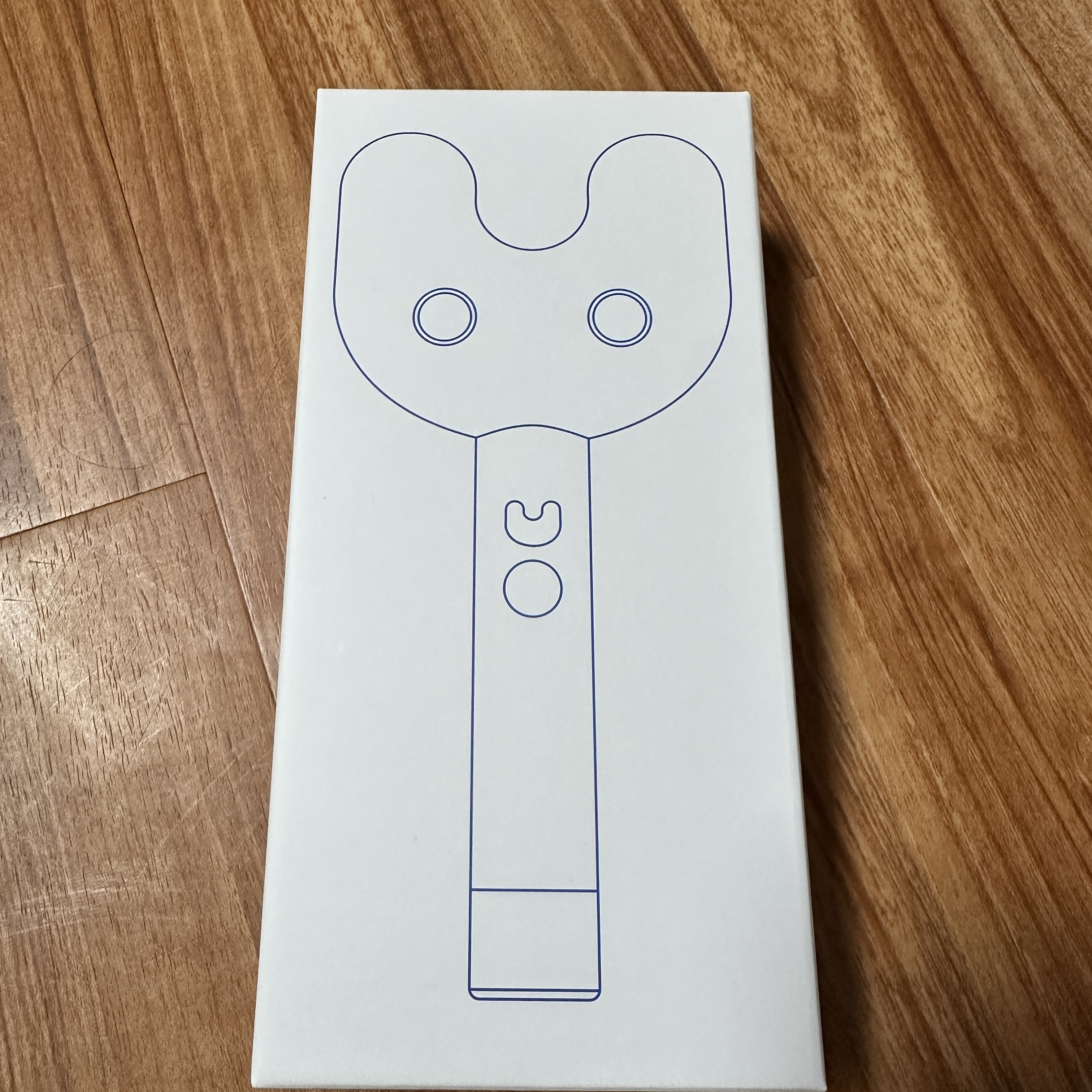 NewJeans Official Light Stick 착용 스타일