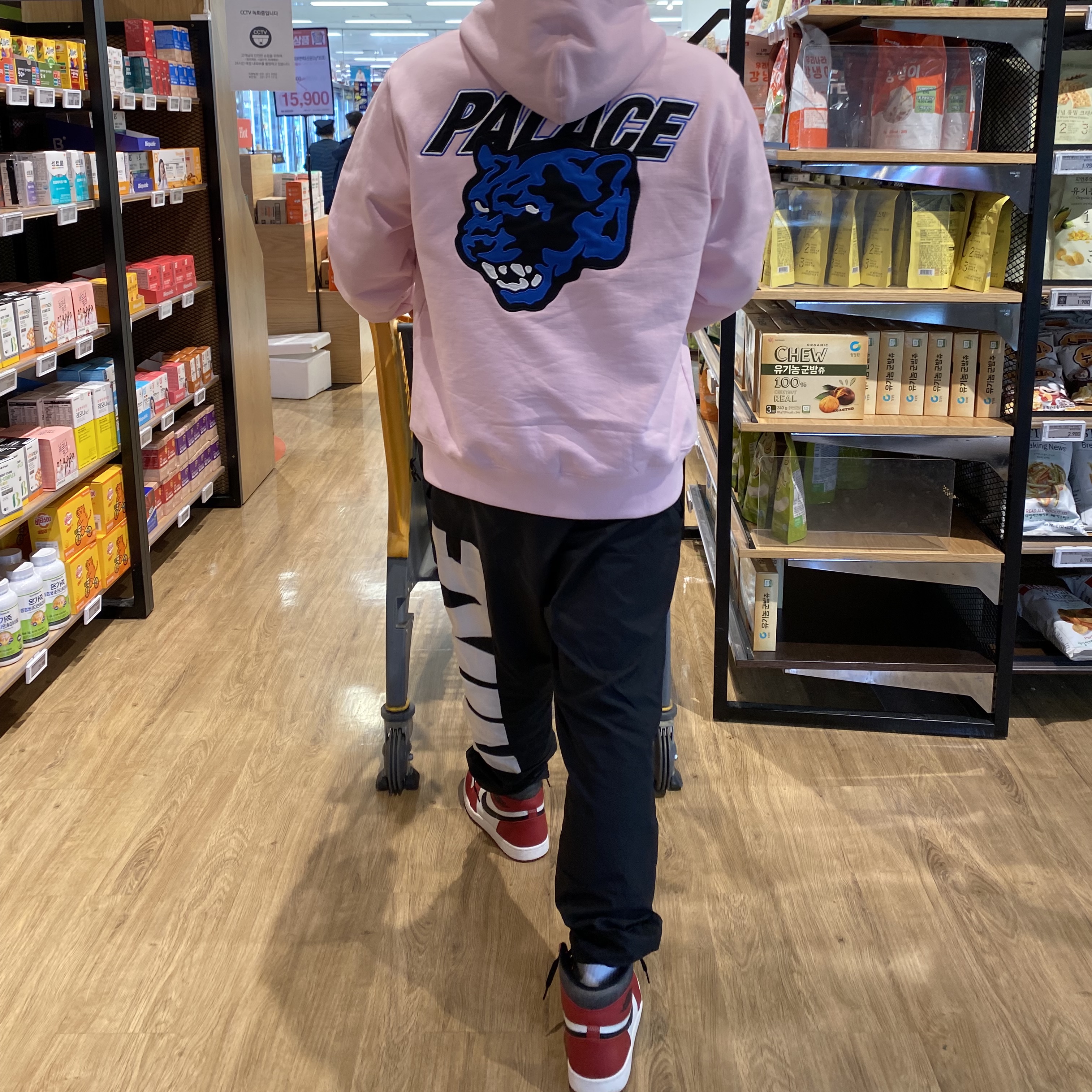 Jordan 1 Retro High OG Chicago 2022, Palace Panther Hood Lush Flush - 23SS 착용 스타일