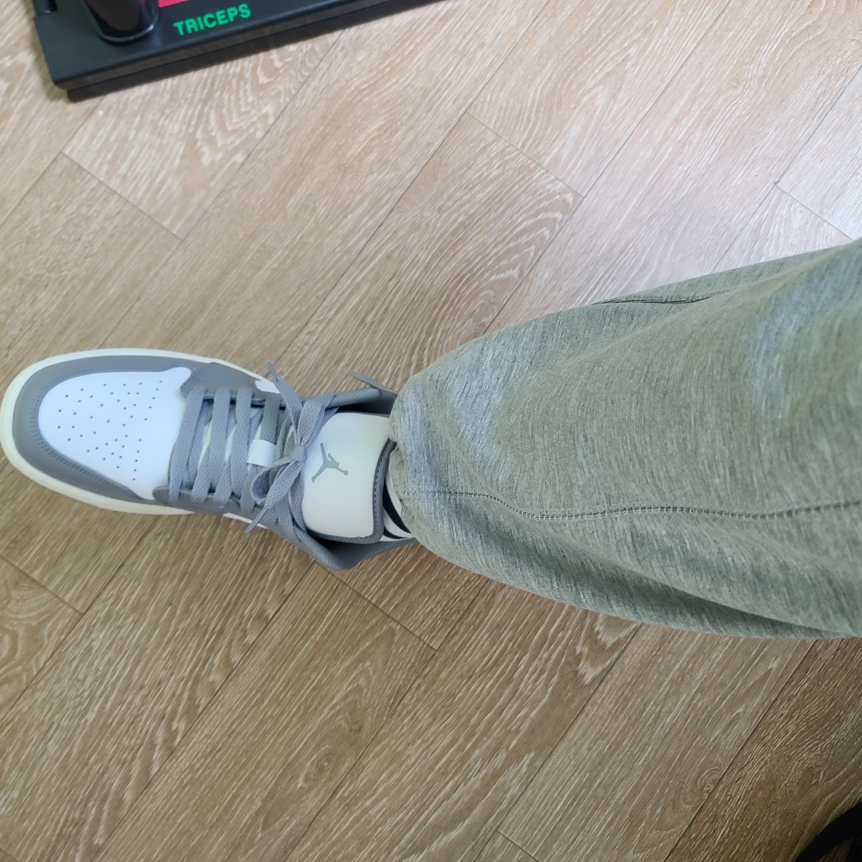 Jordan 1 Low Stealth and White 착용 스타일 - 2