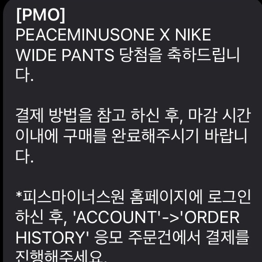 Nike x Peaceminusone Wide Pants Black (DR0096-010) 착용 스타일 - 4