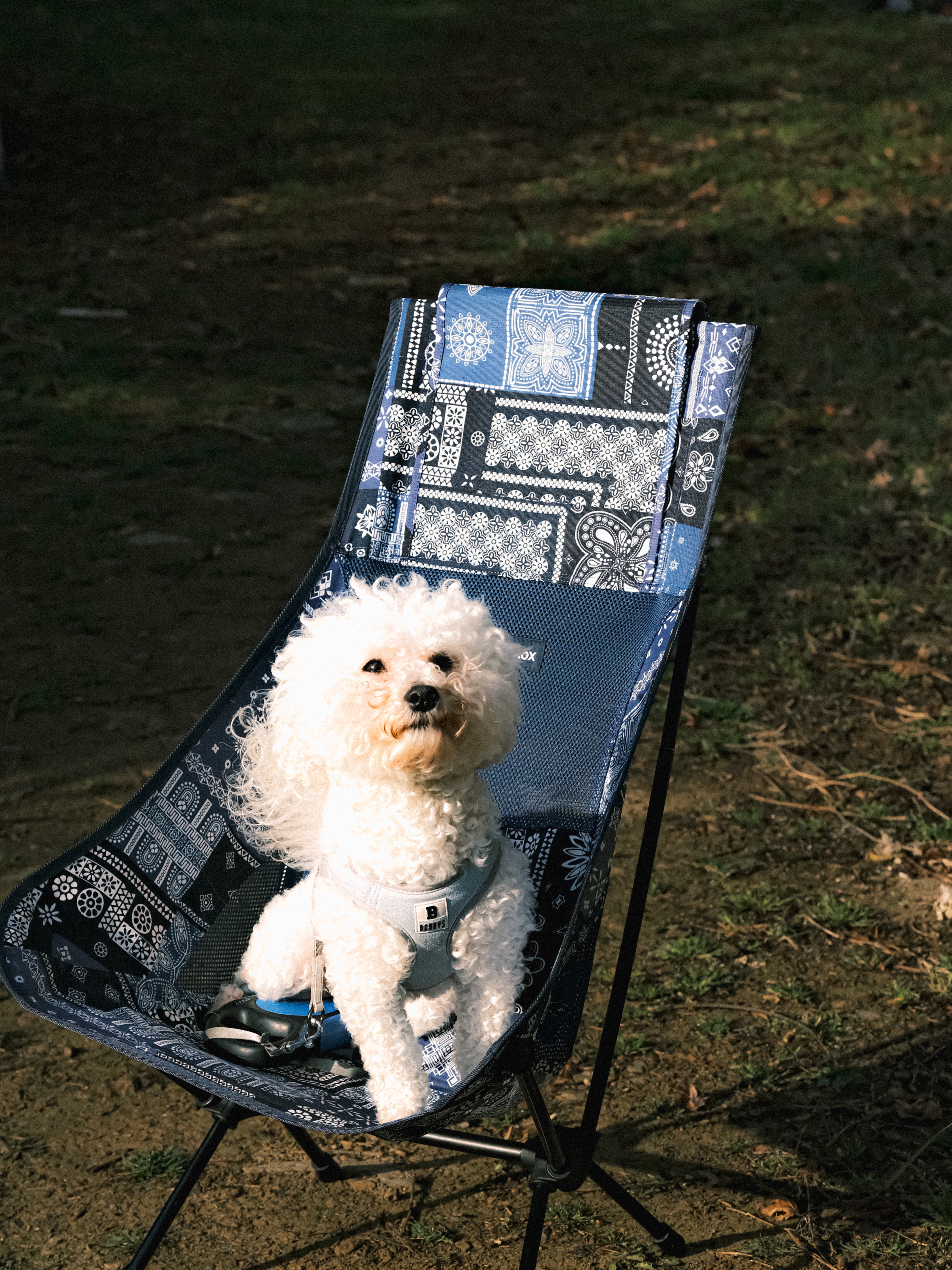 Helinox Chair Two Blue Bandanna Quilt, Arc'teryx Polychrome Bird Trucker Hat Black 착용 스타일 - 2