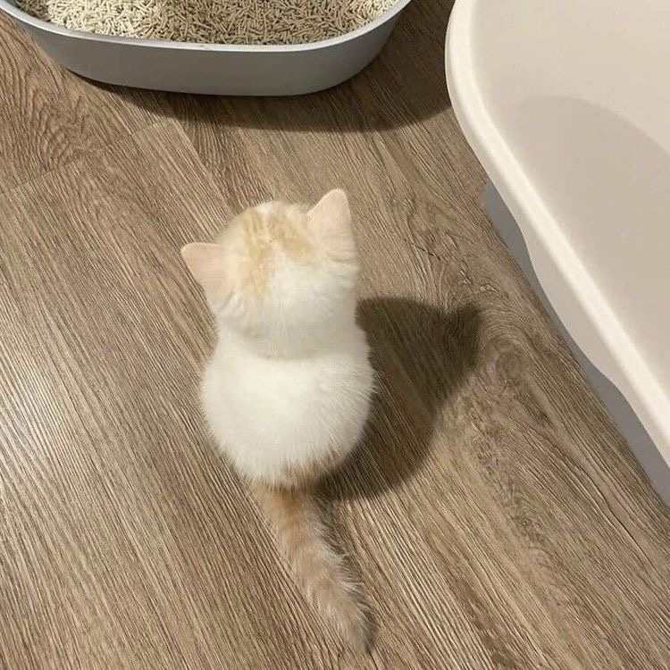 관심 유저 프로필 이미지