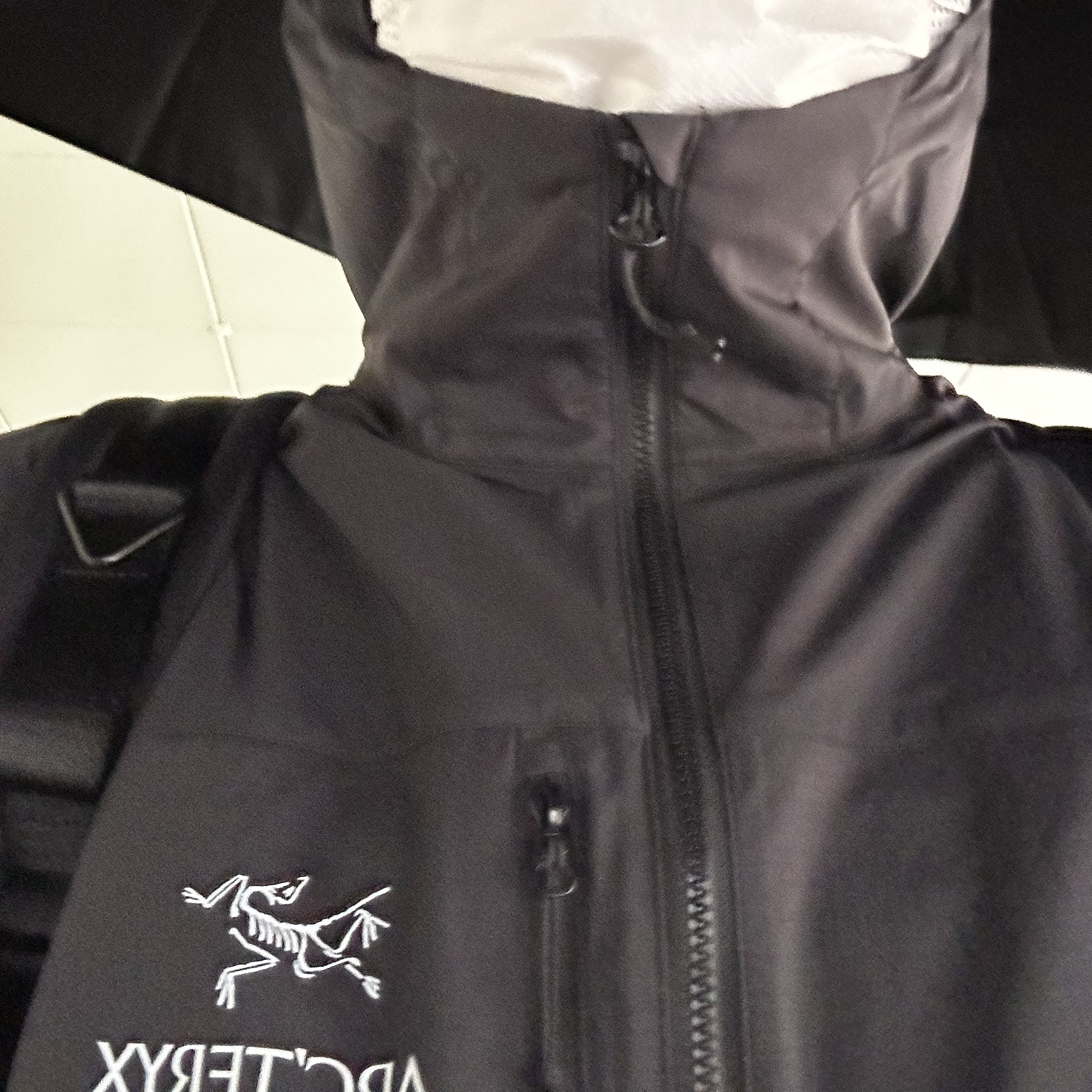 Arc'teryx Squamish Hoody Black 착용 스타일