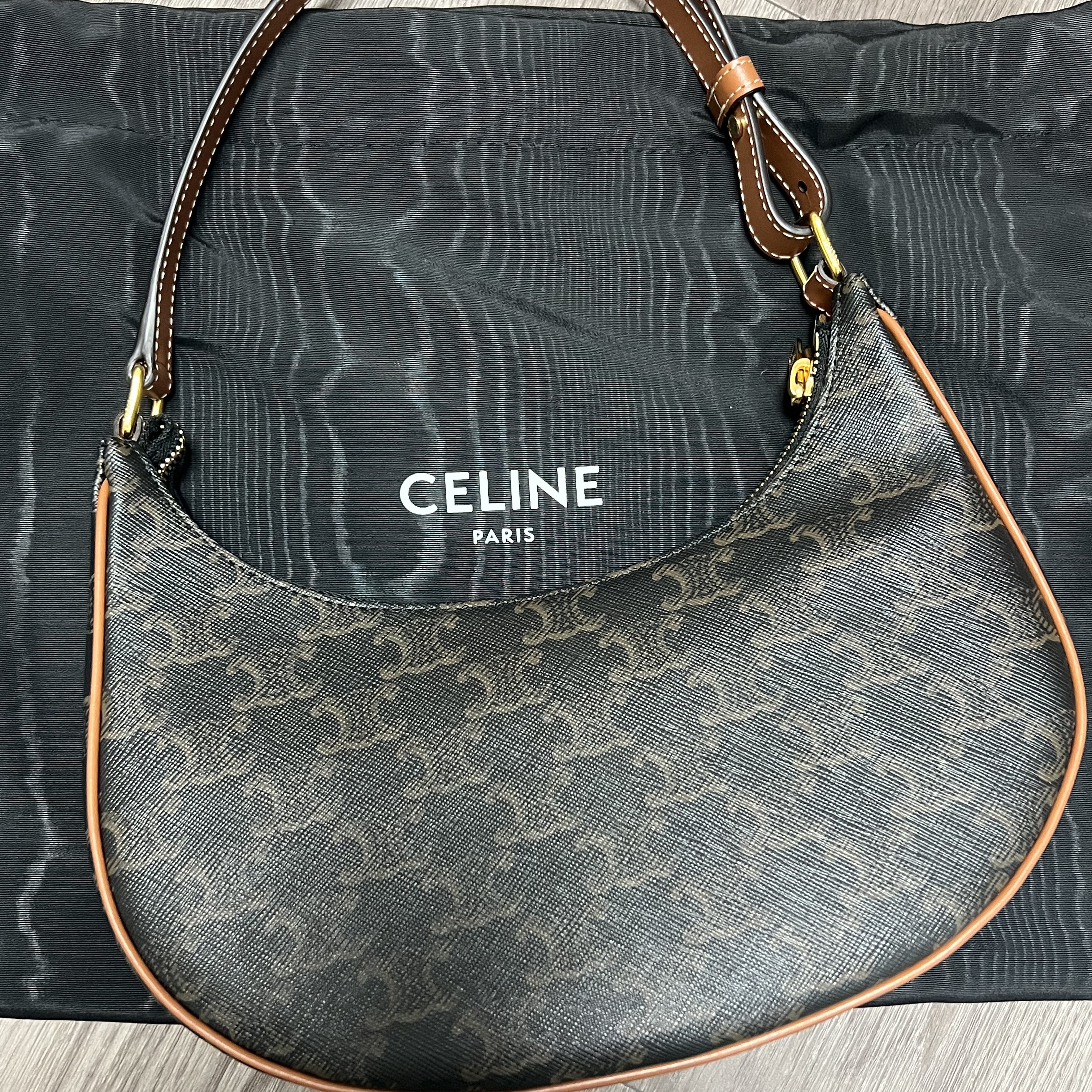 Celine Ava Bag in Triomphe Canvas and Calfskin Tan 착용 스타일