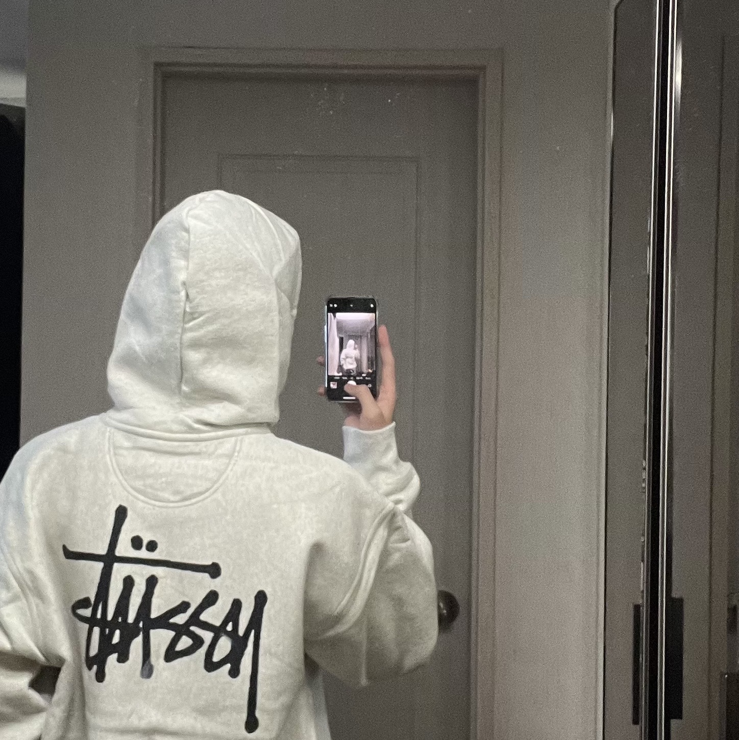 Stussy Basic Stussy Zip Hoodie Ash Heather 2022 착용 스타일