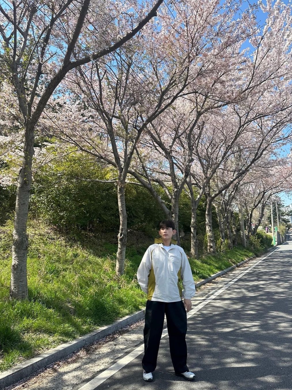 Art Of Field Packable Hooded Half Jacket Ivory 착용 스타일
