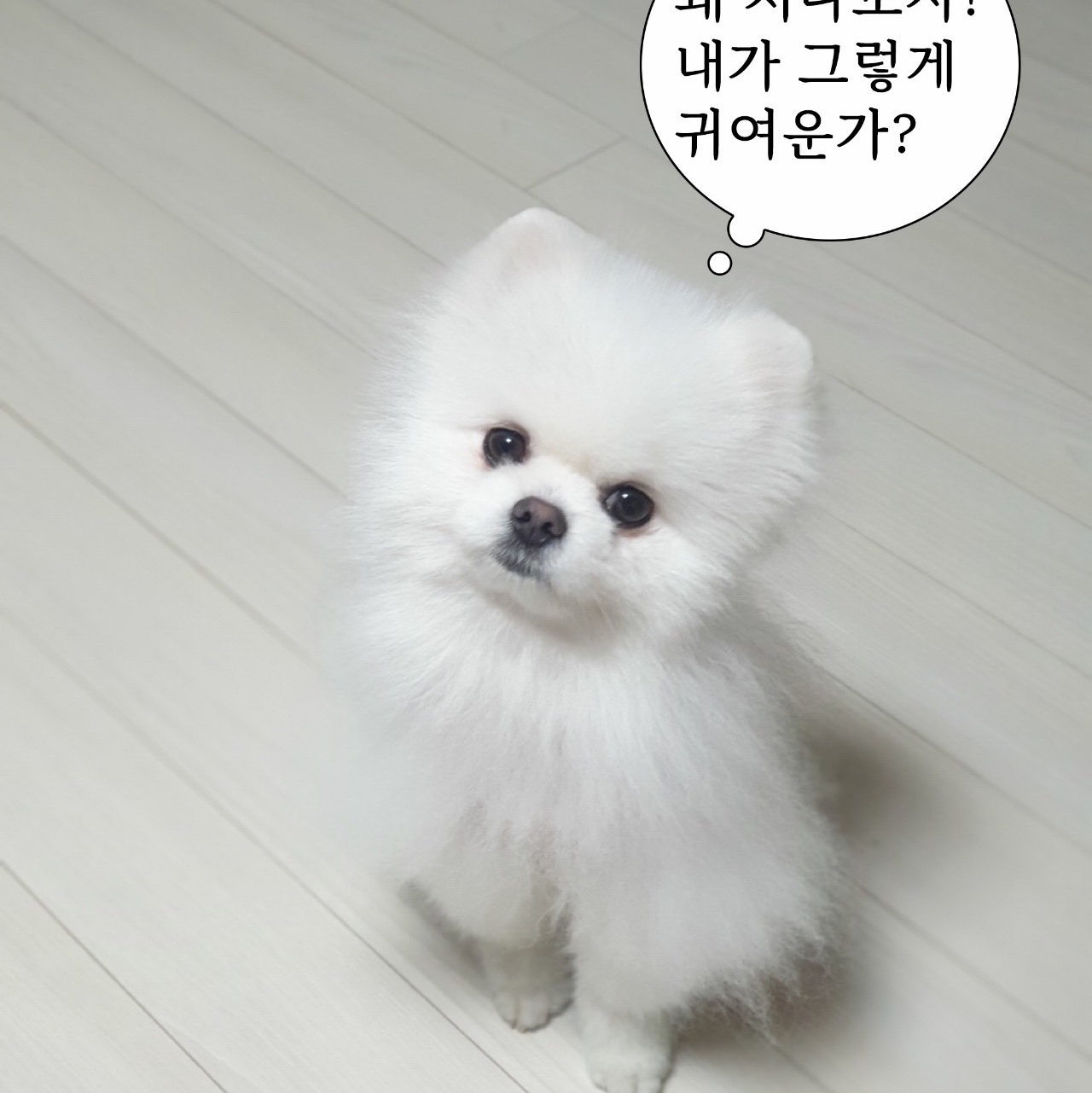 dPwns8640님의 스타일