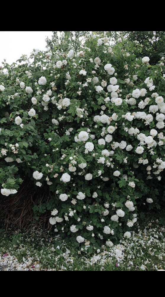 관심 유저 프로필 이미지