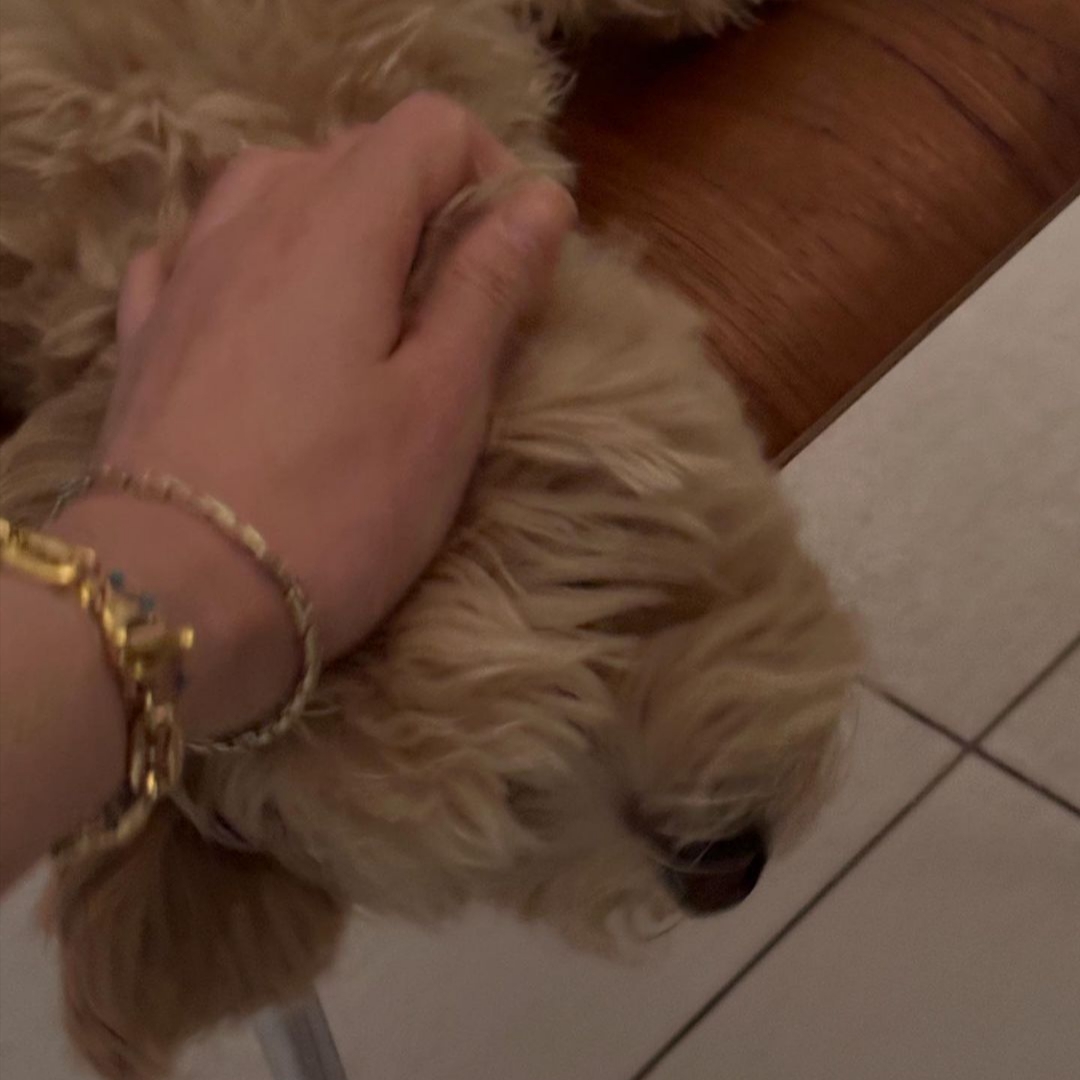 Maman et Fille Women Day 15 Bracelet 착용 스타일 - 2