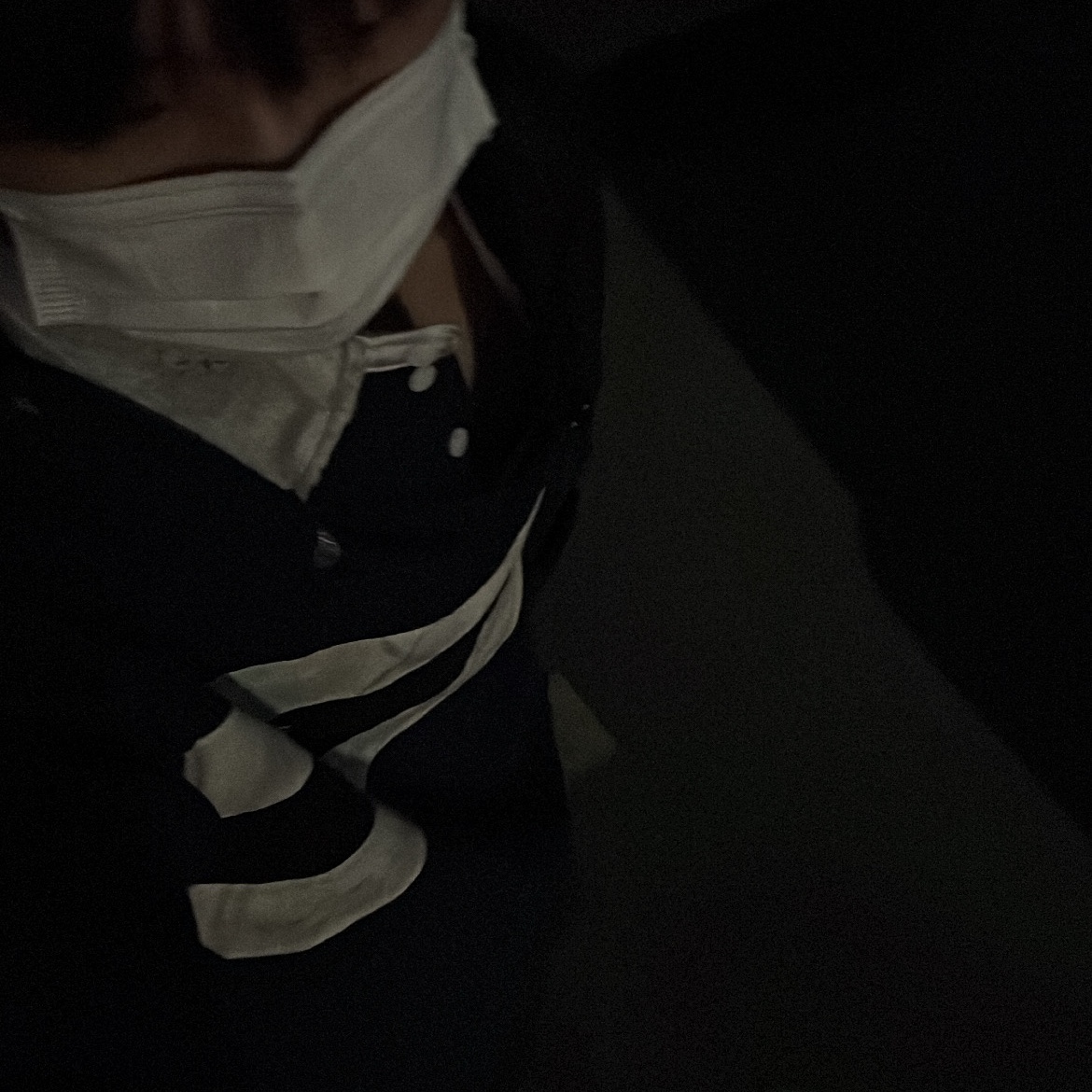 Project G/R Bullied Polo Shirts Navy 착용 스타일 - 1