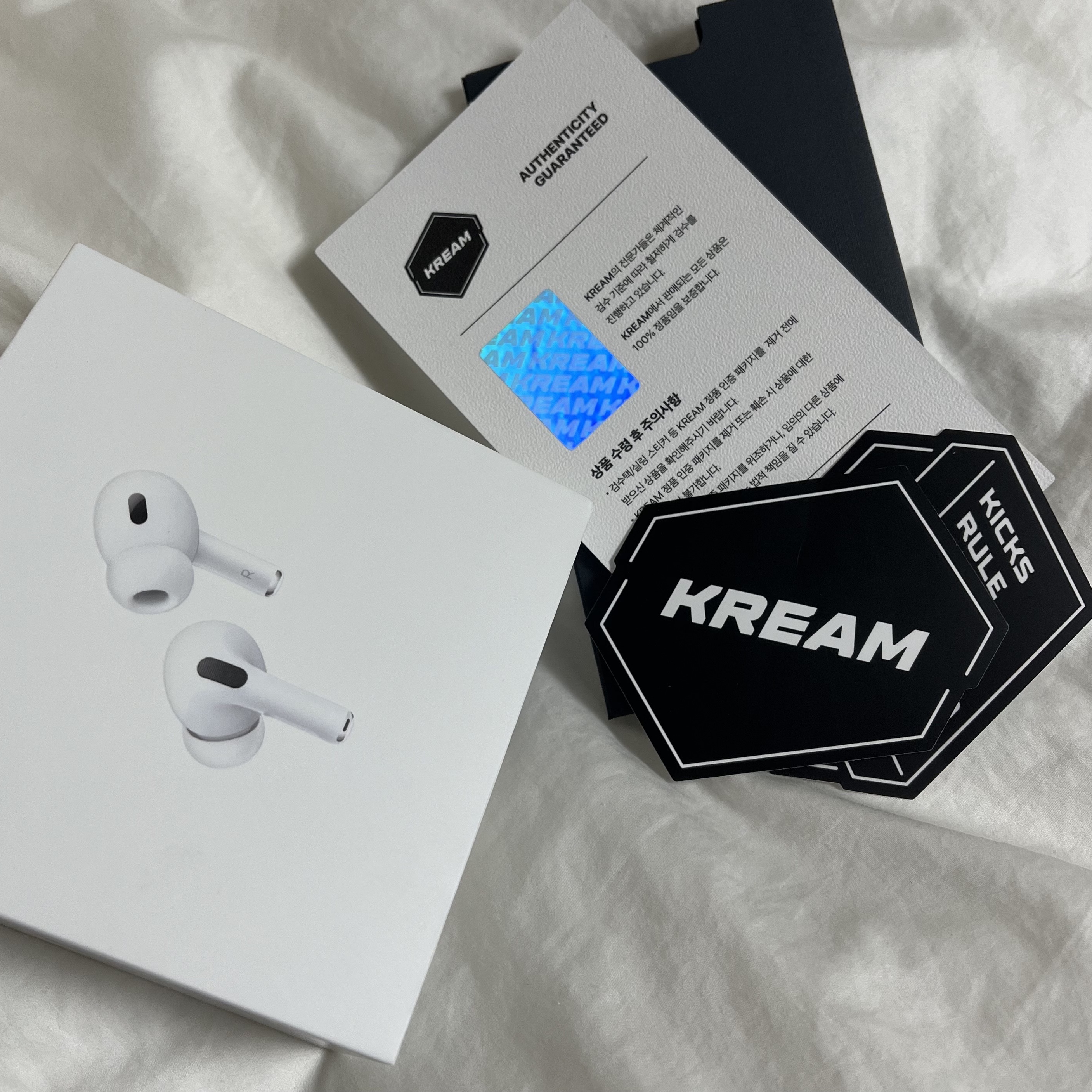 Apple AirPods Pro 2nd Gen (Korean Ver.) 착용 스타일
