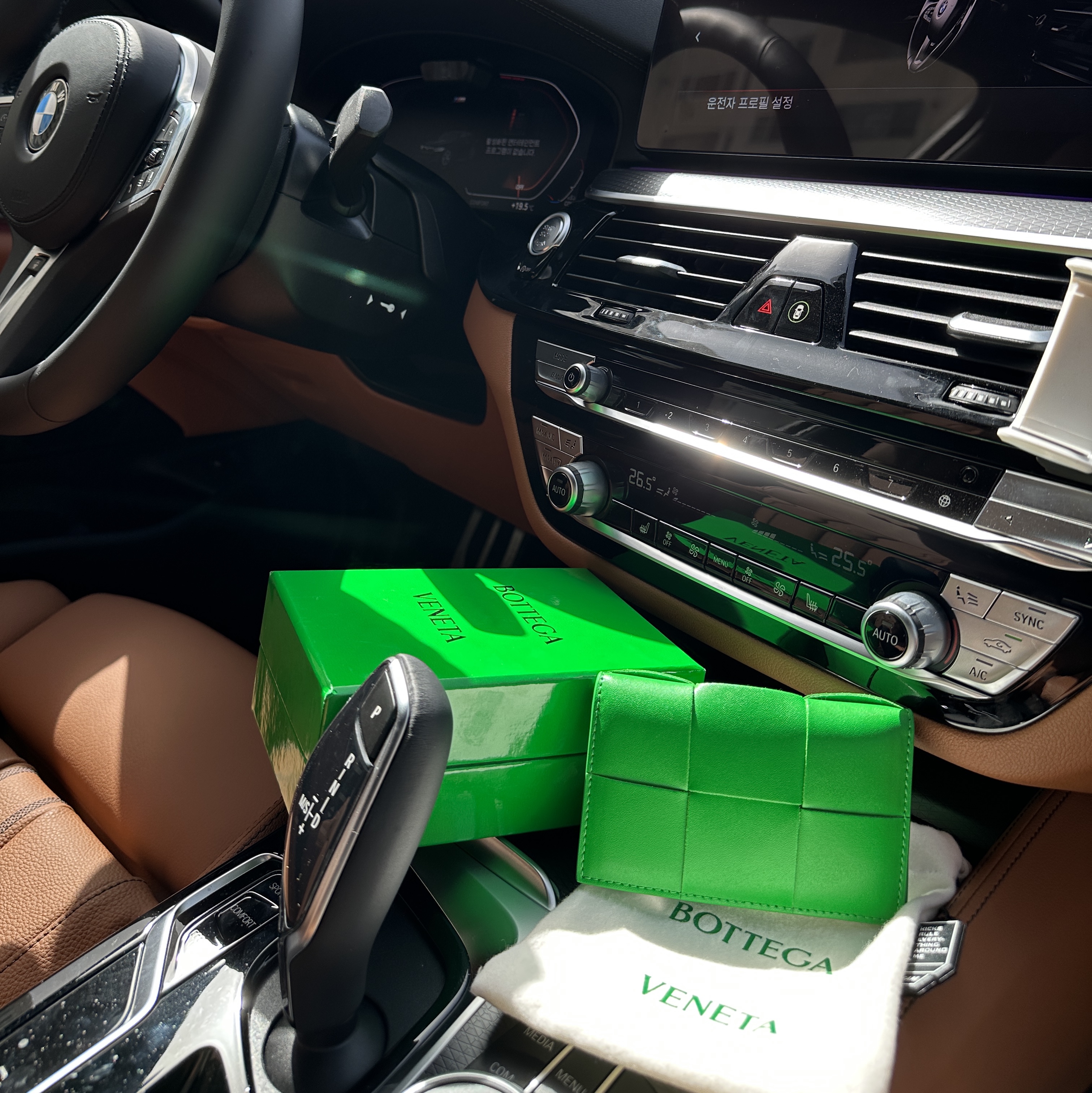 Bottega Veneta Flap Card Case Parakeet 착용 스타일
