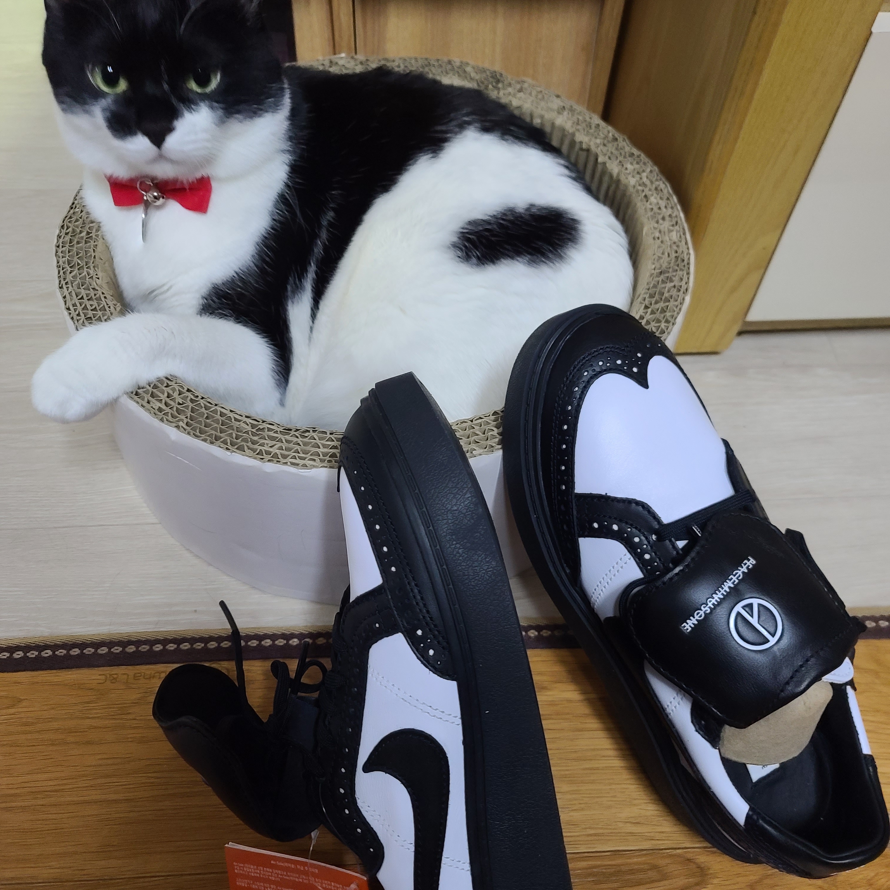 Nike x Peaceminusone Kwondo1 Black and White 착용 스타일 - 2