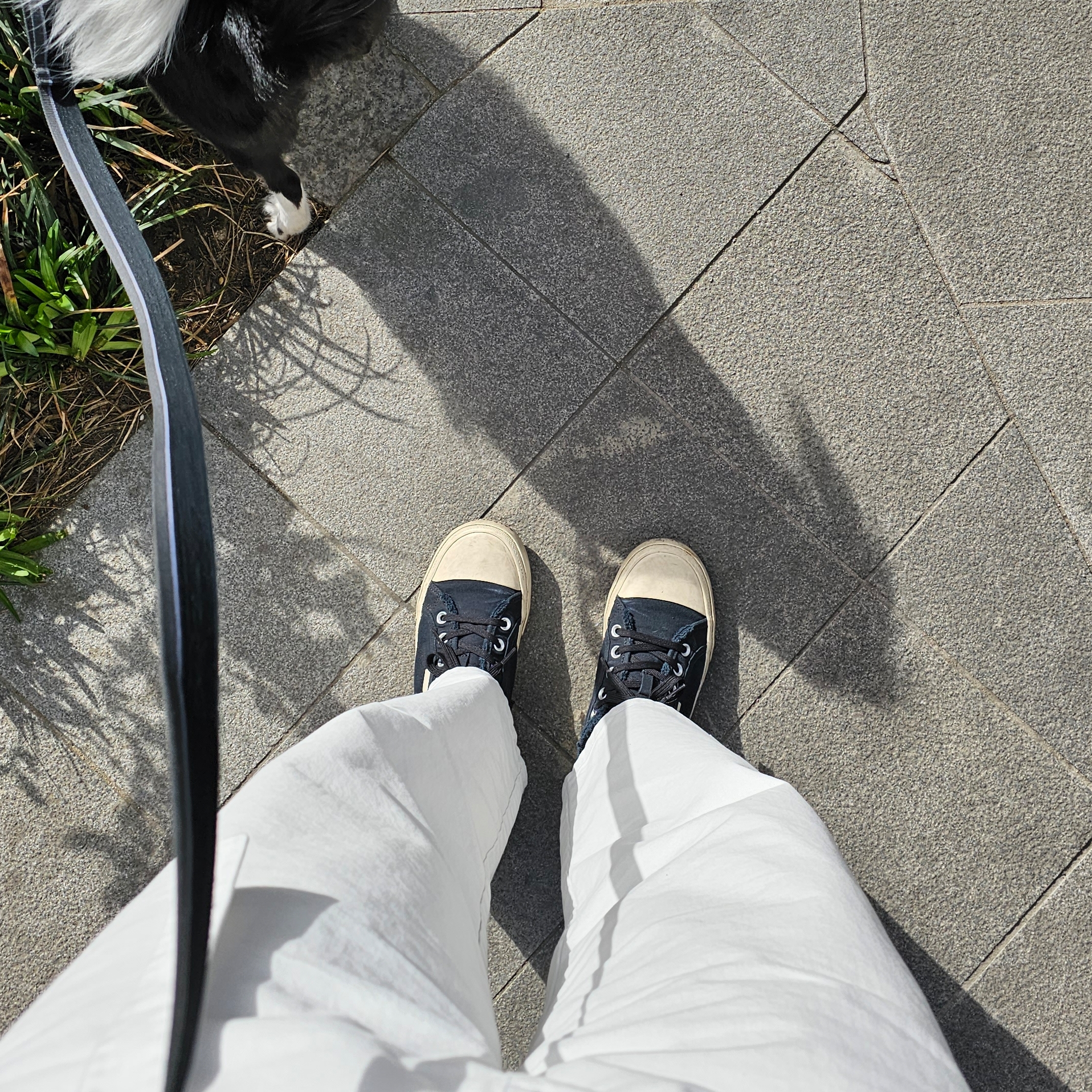 Hermes Evelyne III 29 Bag Clemence & Gold Noir, Balenciaga Paris Sneakers Mule Black 착용 스타일 - 2