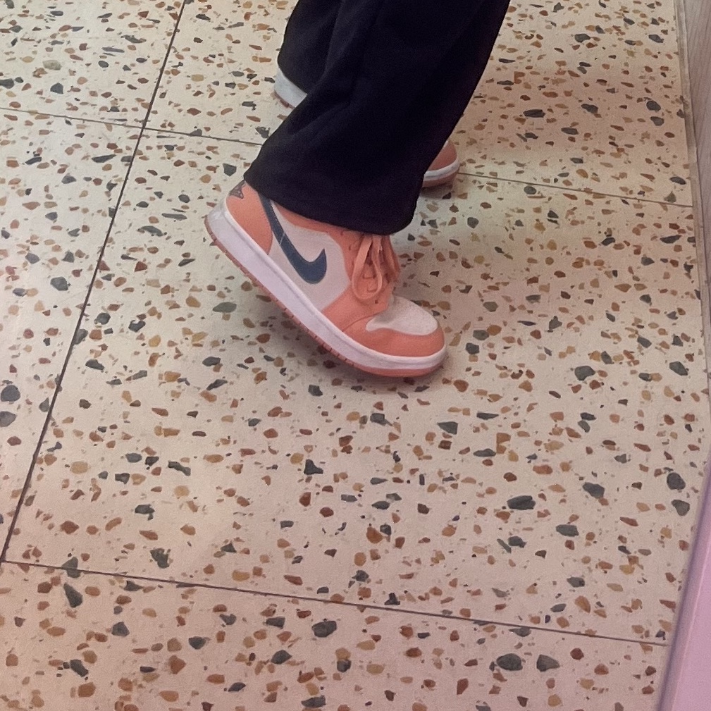 (W) Jordan 1 Low Light Madder Root 착용 스타일