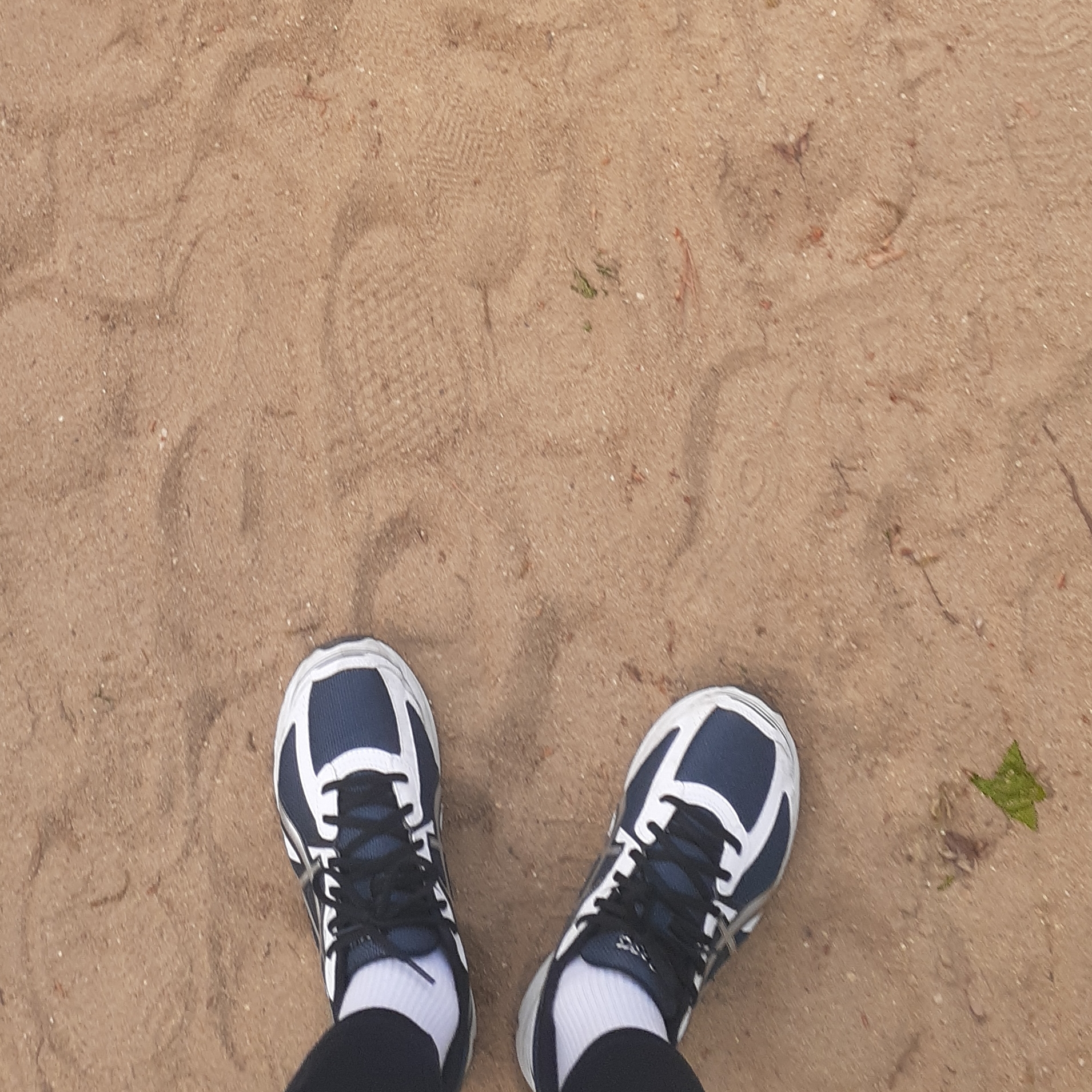 Asics Jog 100 S Navy Pure Silver - 2E Wide 착용 스타일