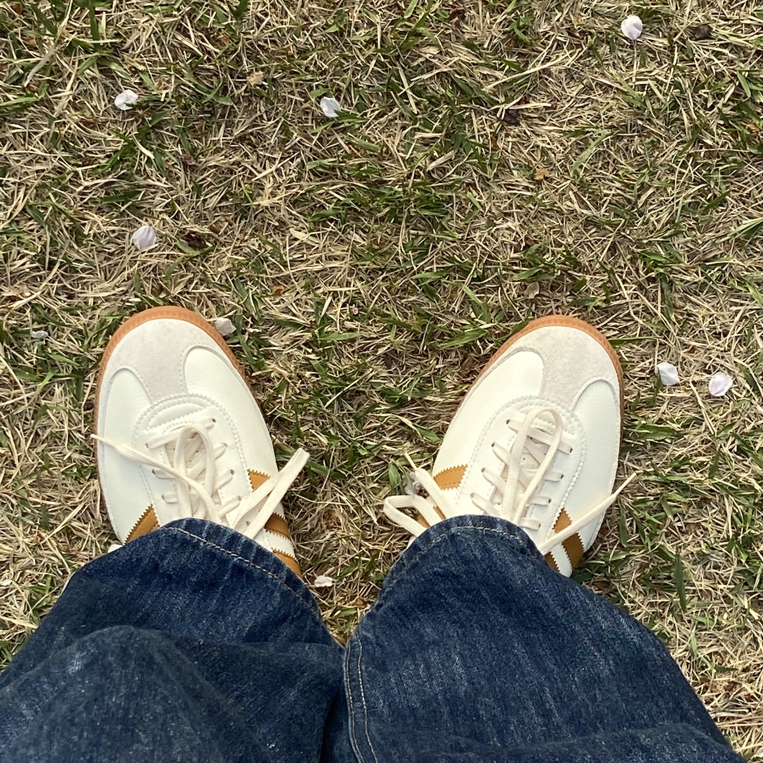 Adidas City Series Triest Cream White 착용 스타일