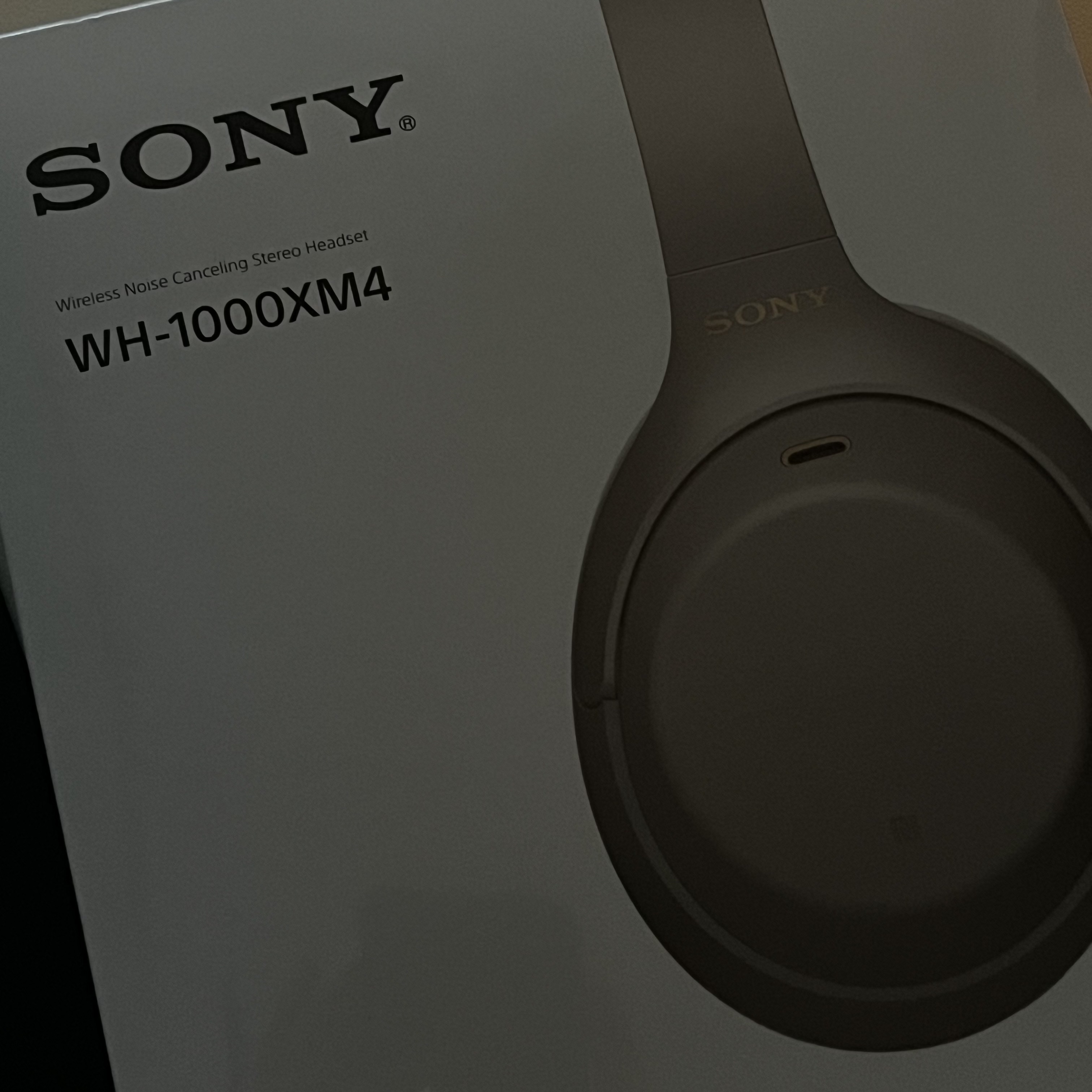 Sony WH-1000XM4 Platinum Silver (Korean Ver.) 착용 스타일 - 2