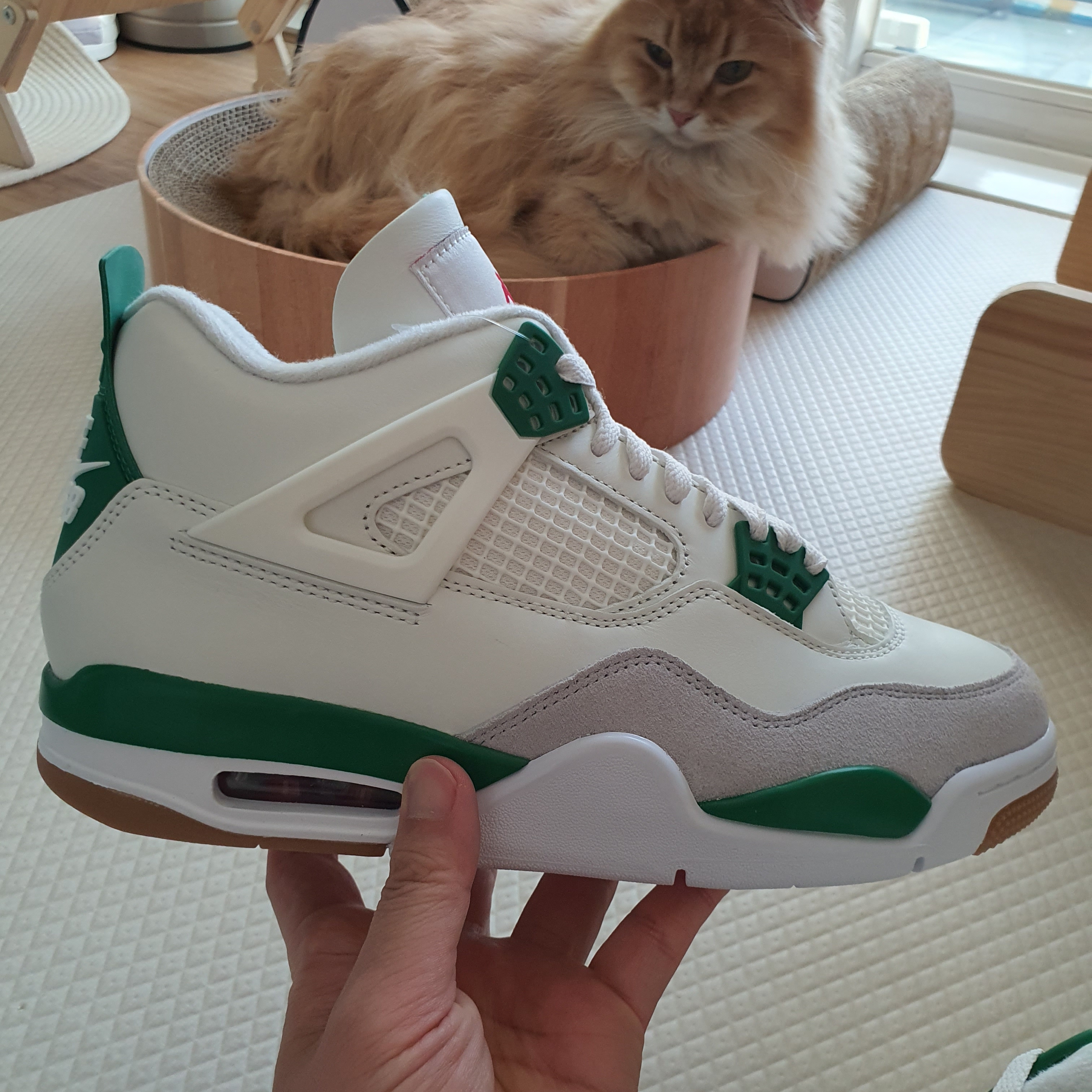 Jordan 4 x Nike SB Retro SP Pine Green 착용 스타일 - 1