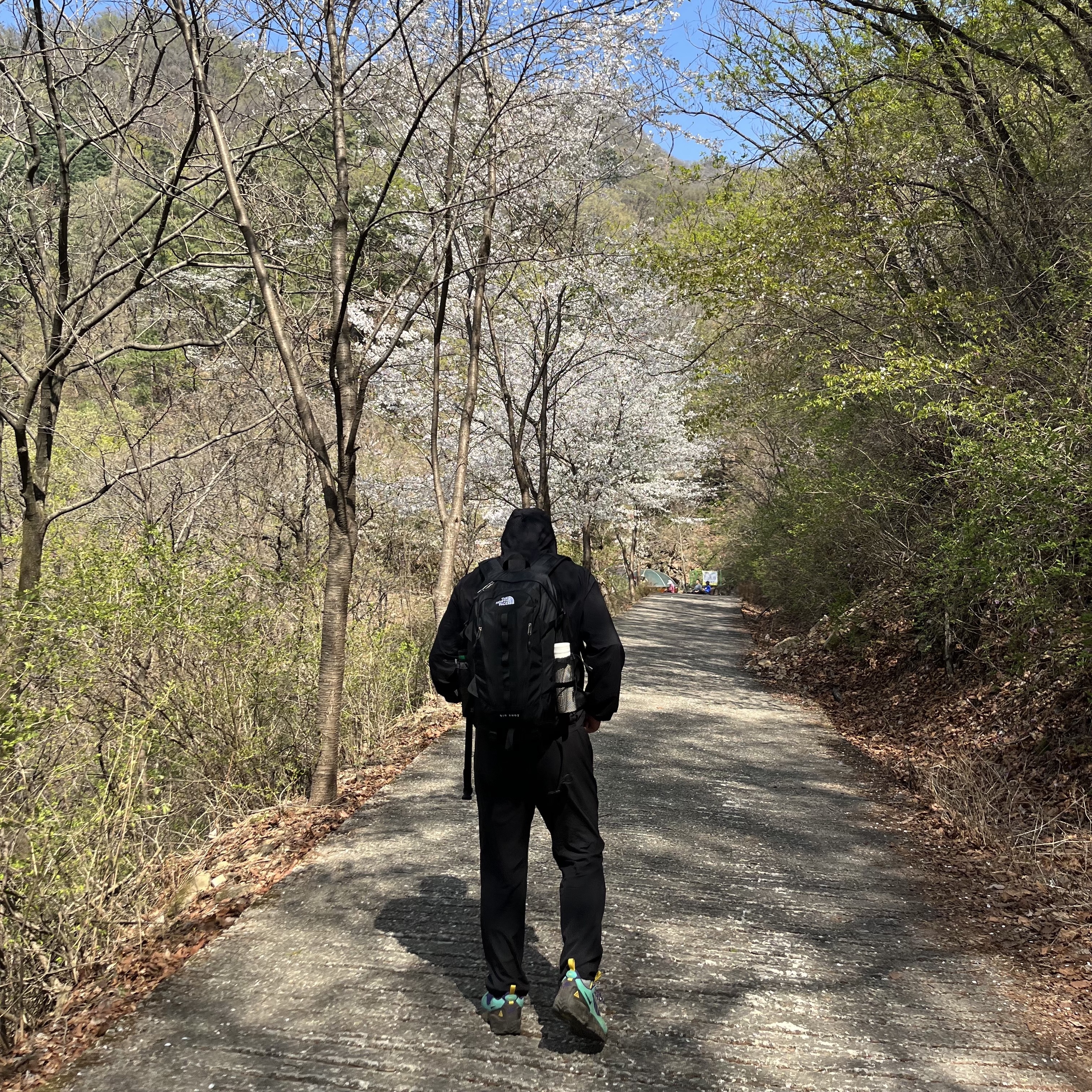 Nike ACG Air Mada Light Menta Black, The North Face Big Shot Jet Black 착용 스타일