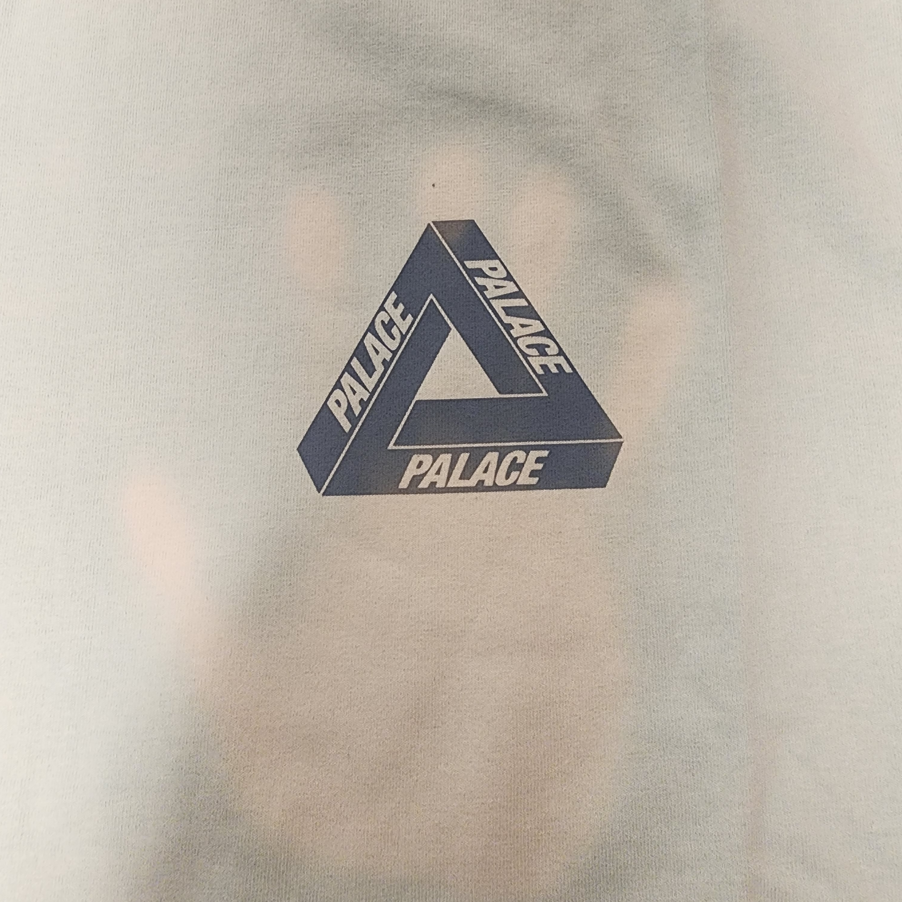 Palace Reacto Tri-Ferg T-Shirt Green - 23SS 착용 스타일 - 3