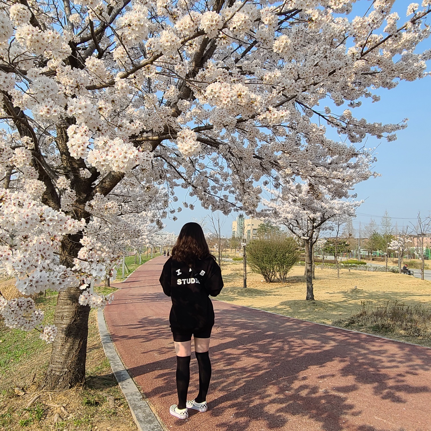 IAB Studio Half Zip-Up Black White, (W) Nike Essential Mid Rise Bike Shorts Black - Asia 착용 스타일 - 3