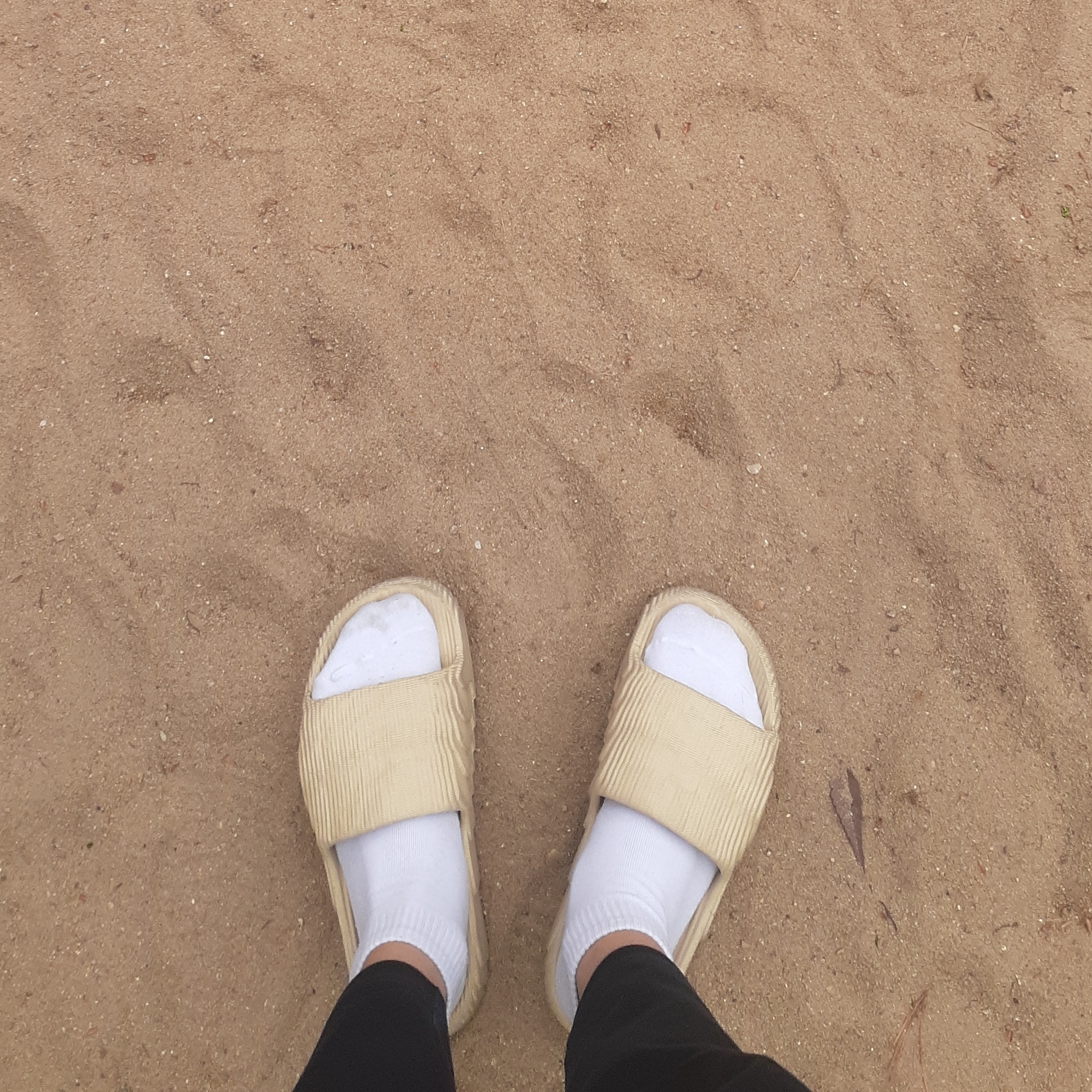 Adidas Adilette 22 Desert Sand 착용 스타일