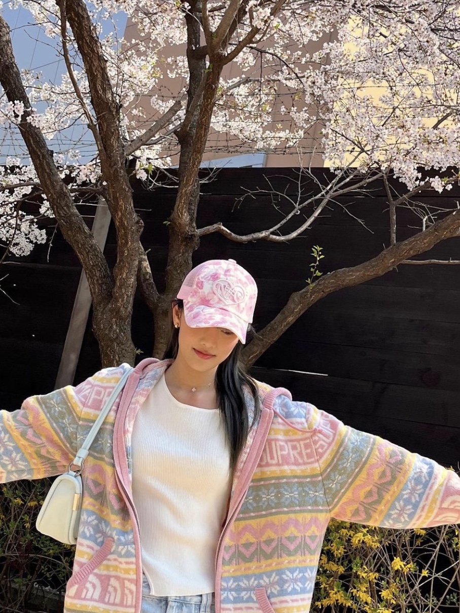 Supreme x The North Face Zip Up Hooded Sweater Pink - 22FW 착용 스타일 - 2