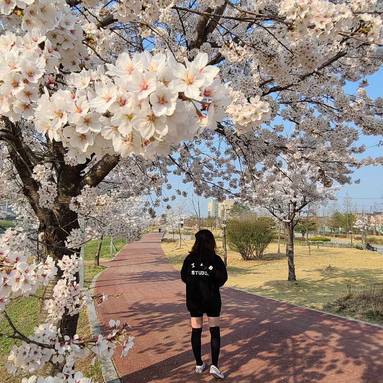 IAB Studio Half Zip-Up Black White, (W) Nike Essential Mid Rise Bike Shorts Black - Asia 착용 스타일 - 2