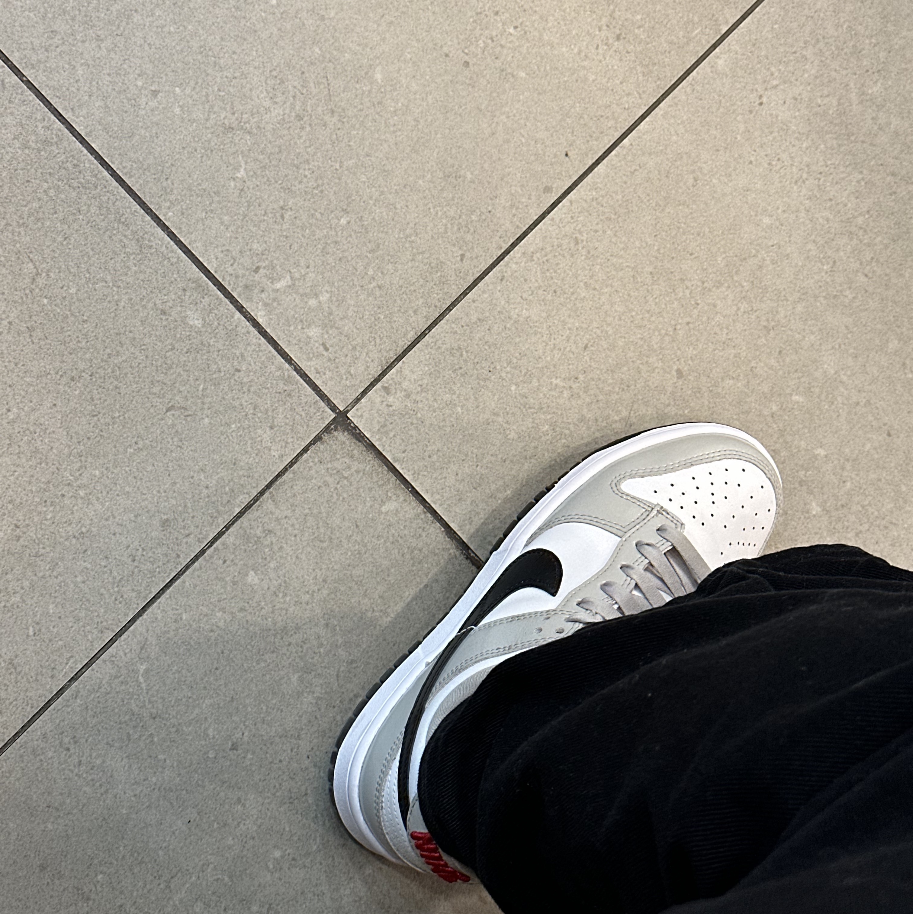 (W) Nike Dunk Low Essential Light Iron Ore Black 착용 스타일