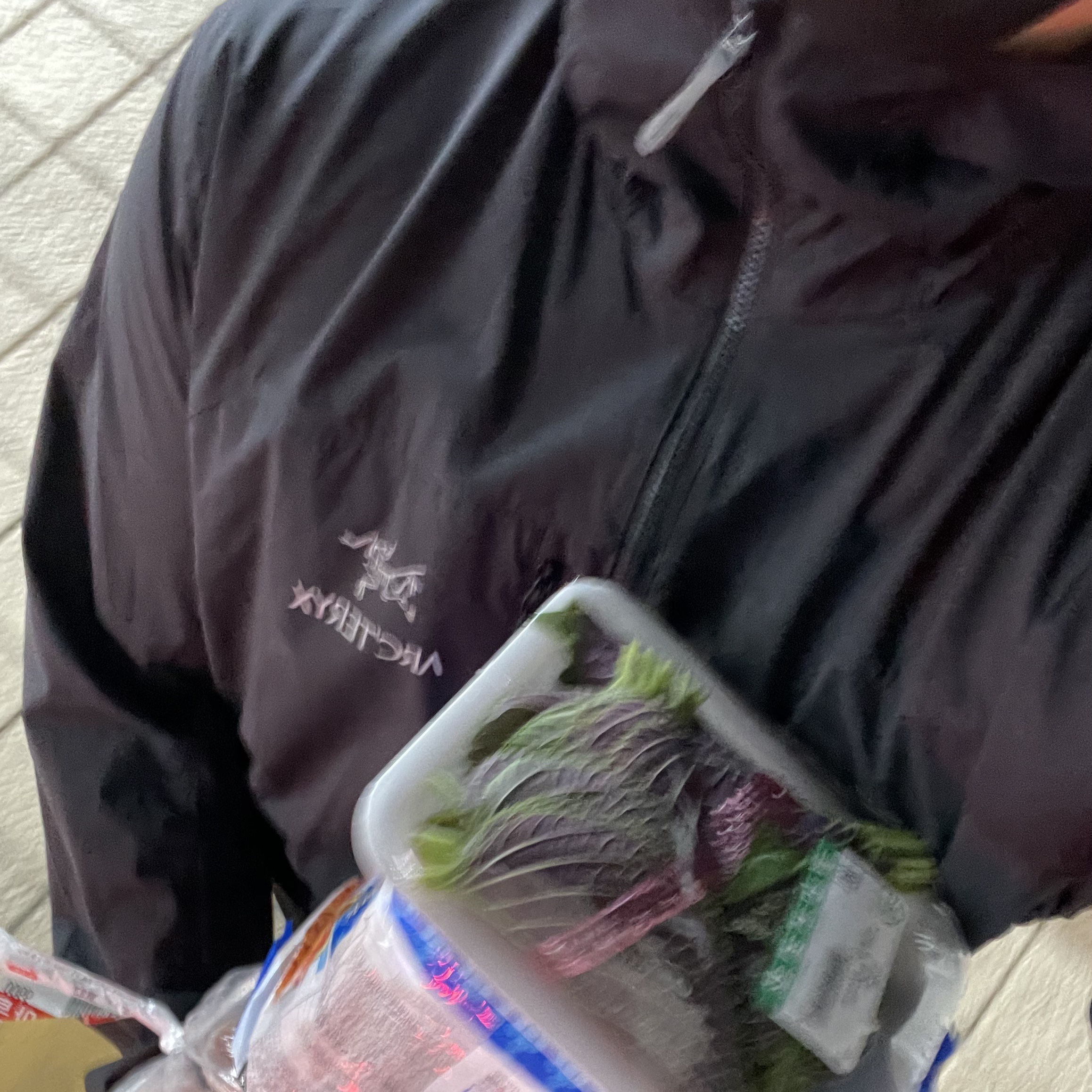 Arc'teryx Squamish Hoody Black 착용 스타일