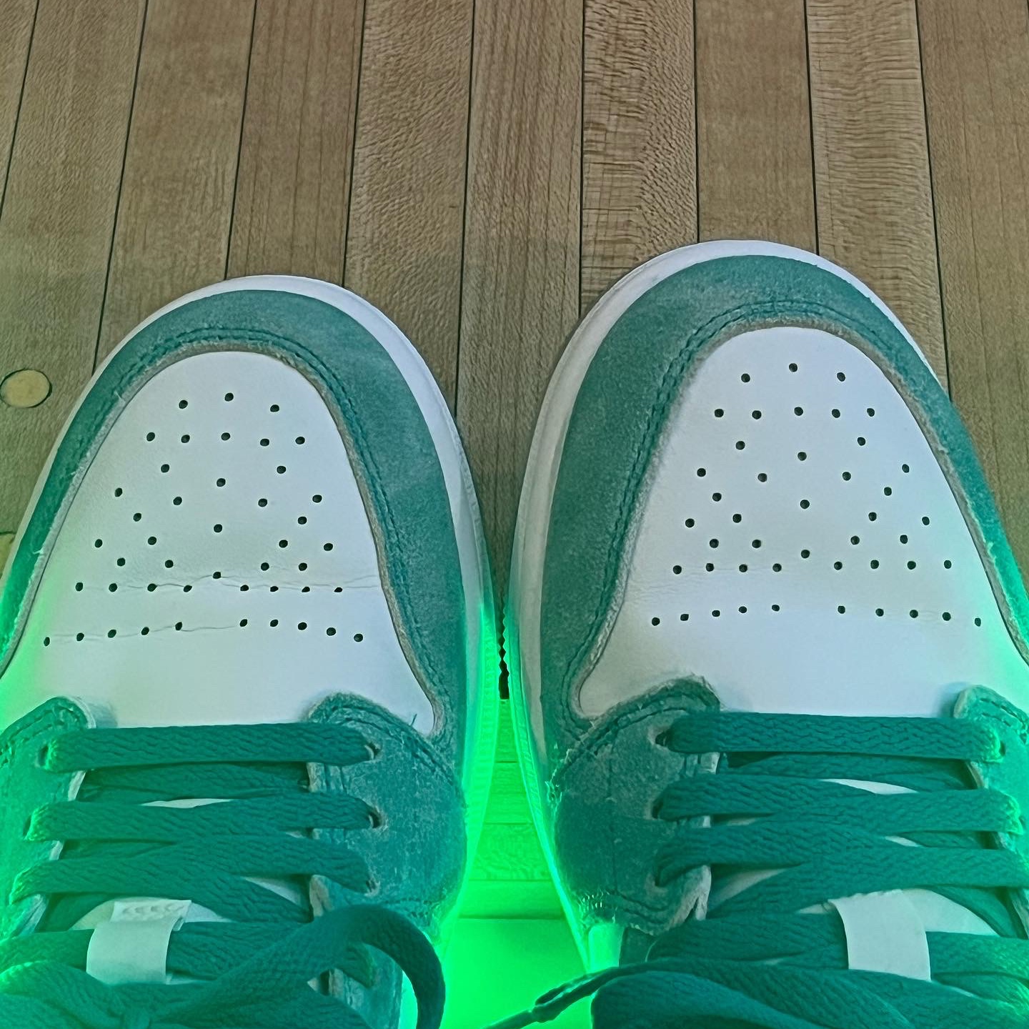 Jordan 1 Low SE New Emerald 착용 스타일