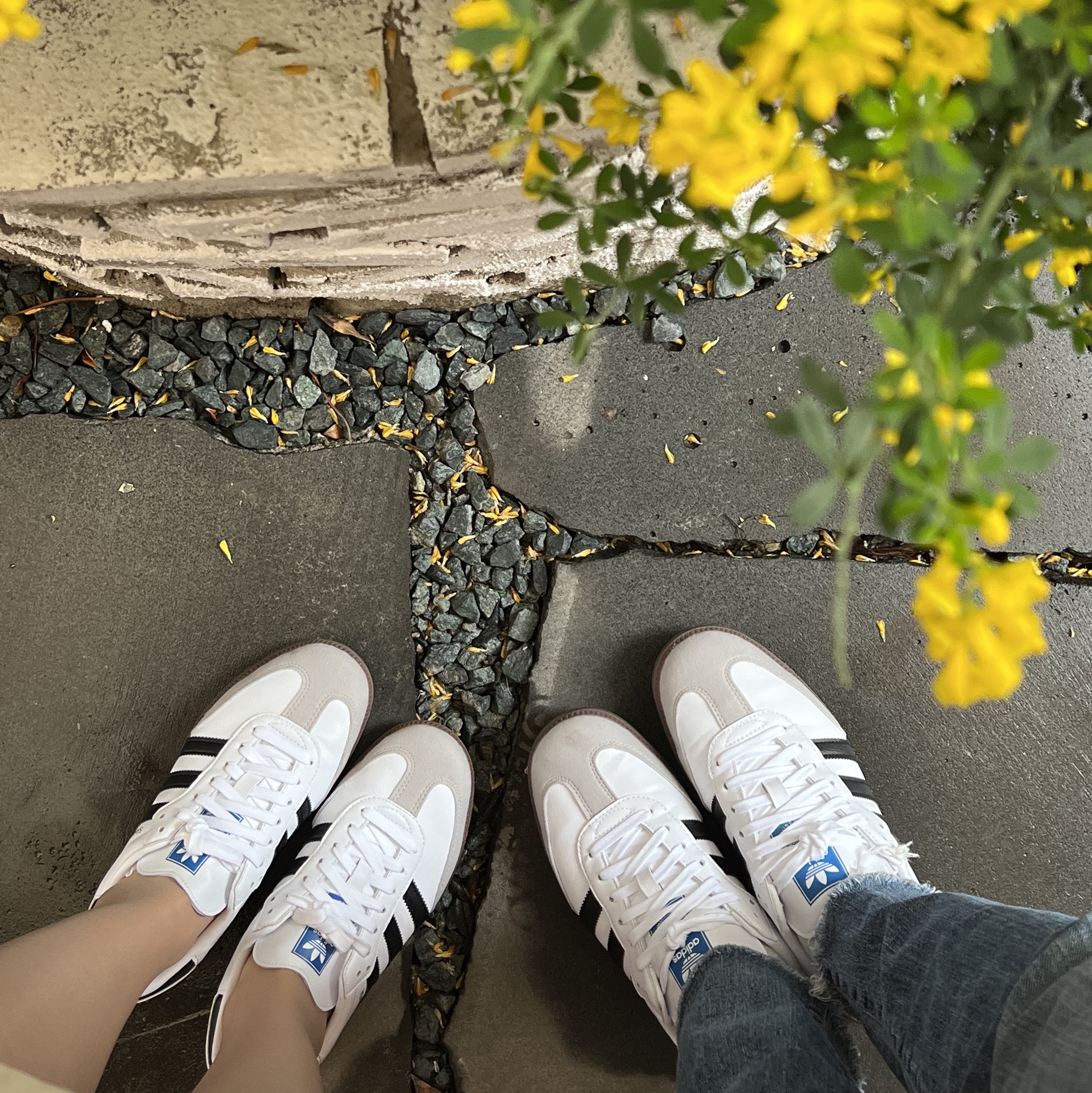 Adidas Samba Vegan White Black 착용 스타일 - 1