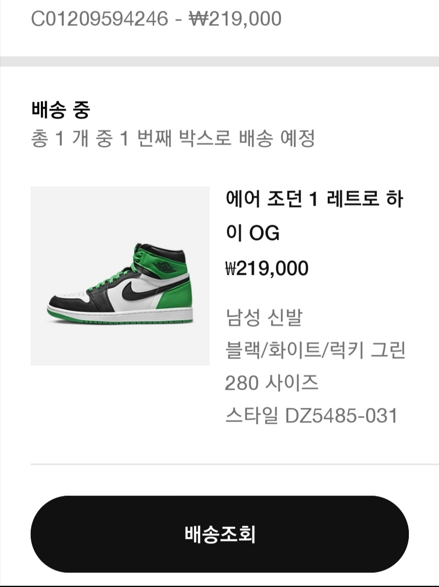Jordan 1 Retro High OG Black and Lucky Green 착용 스타일 - 1