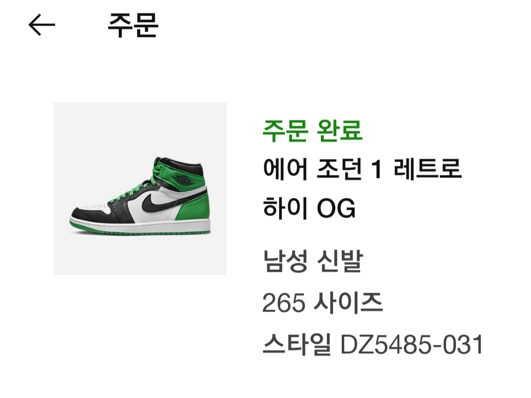 Jordan 1 Retro High OG Black and Lucky Green 착용 스타일