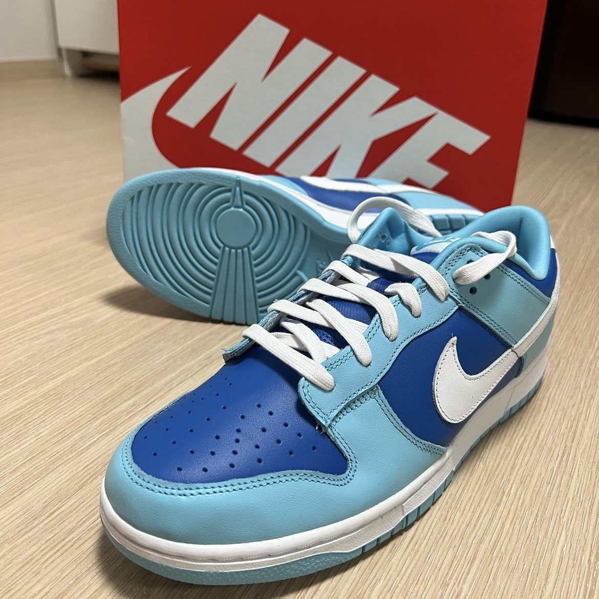Nike Dunk Low Retro QS Argon 착용 스타일