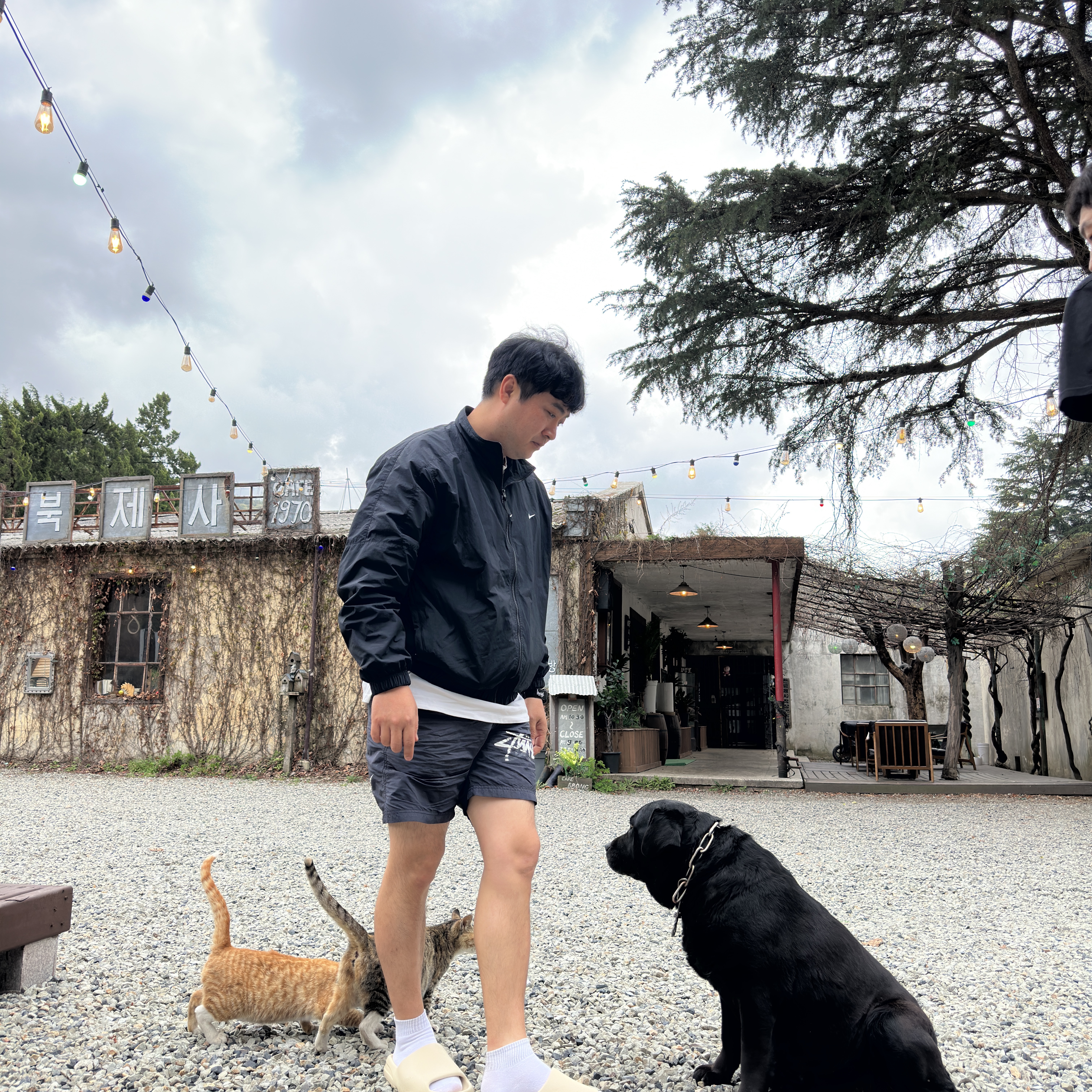 Nike NRG Solo Swoosh Woven Track Jacket Black - Asia, Nike x Stussy Water Shorts Off Noir 착용 스타일