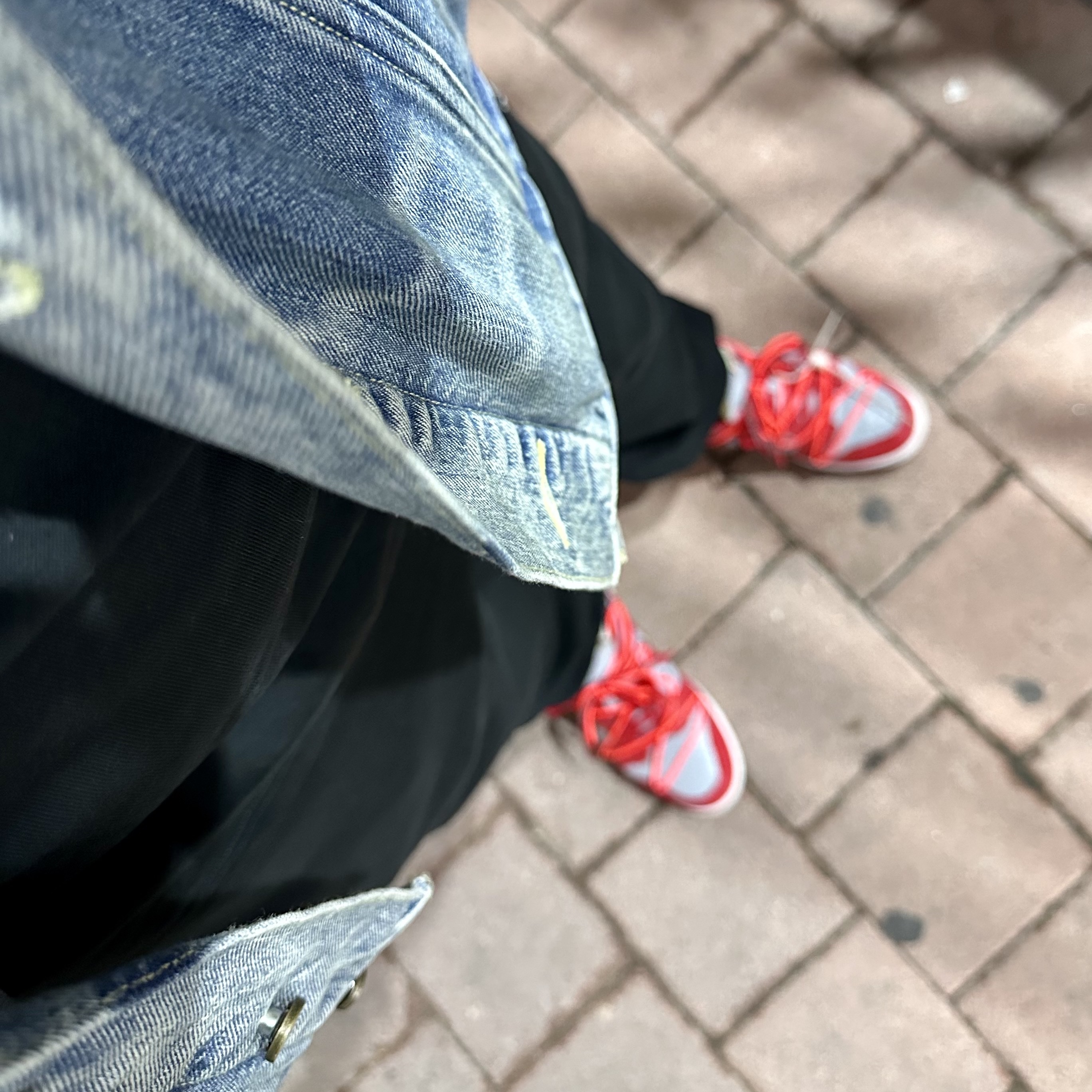 Nike x Off-White Dunk Low University Red, Nike x Stussy NRG Washed Fleece Pants Black (DO5296-010) 착용 스타일