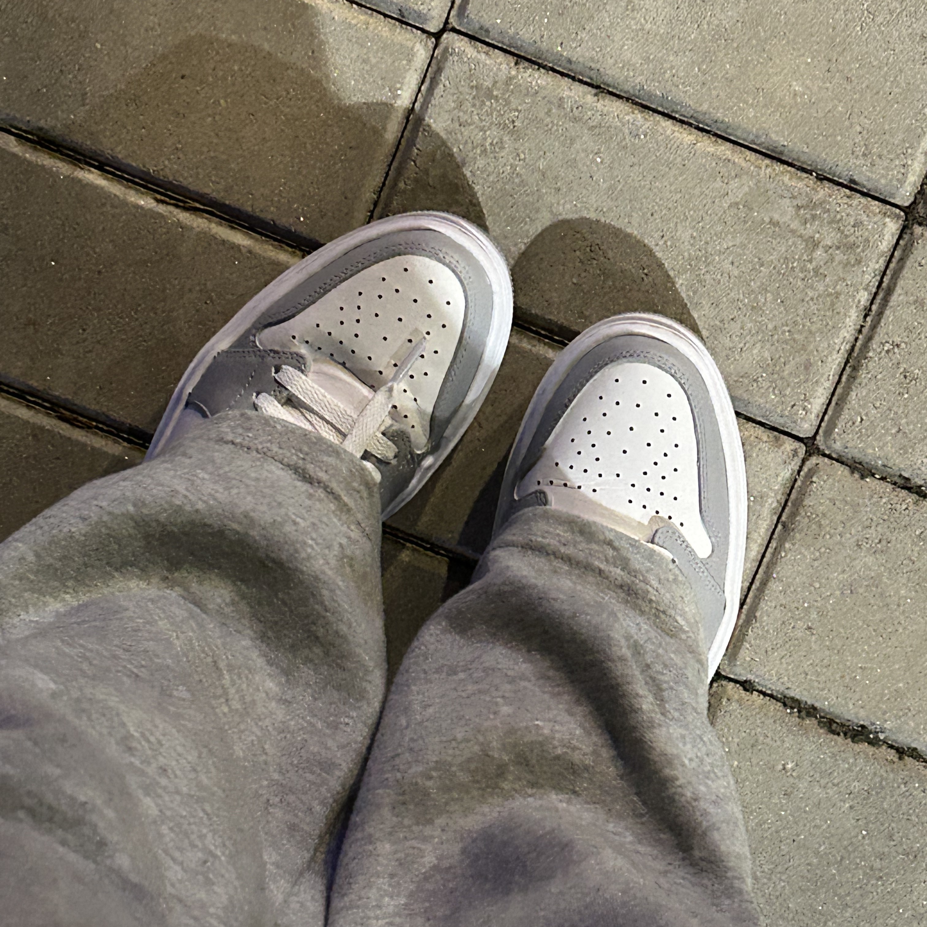 (W) Jordan 1 Elevate Low White and Wolf Grey 착용 스타일