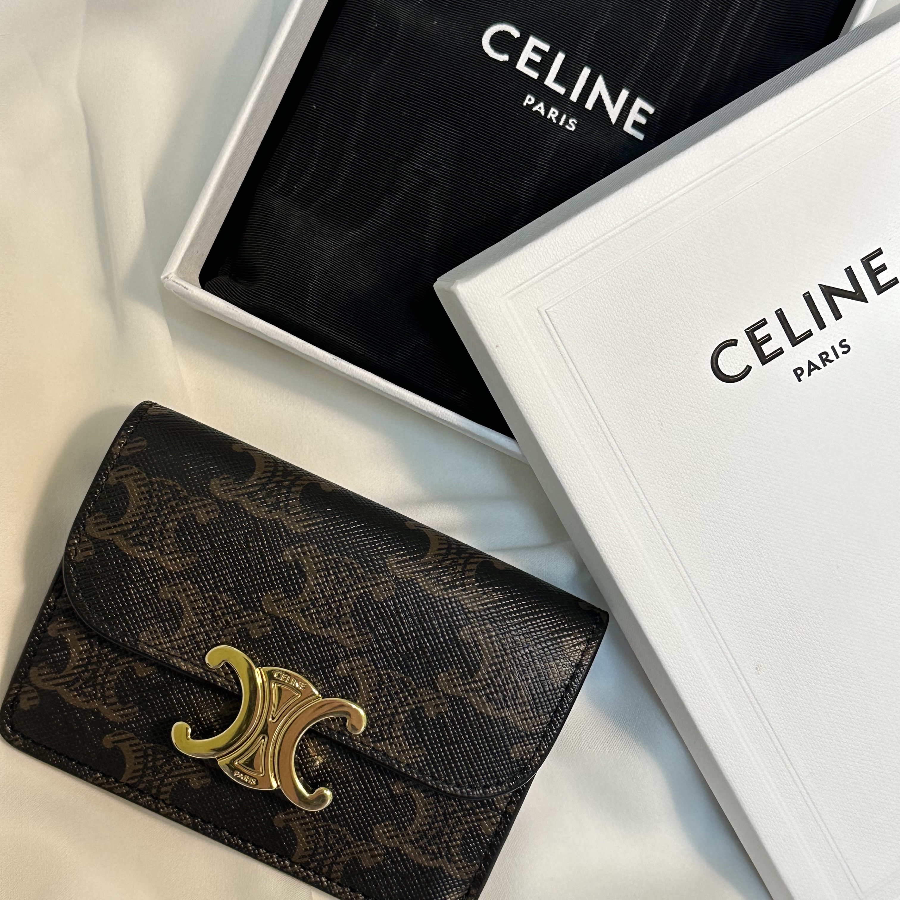 Celine Card Holder with Flap in Triomphe Canvas Tan 착용 스타일