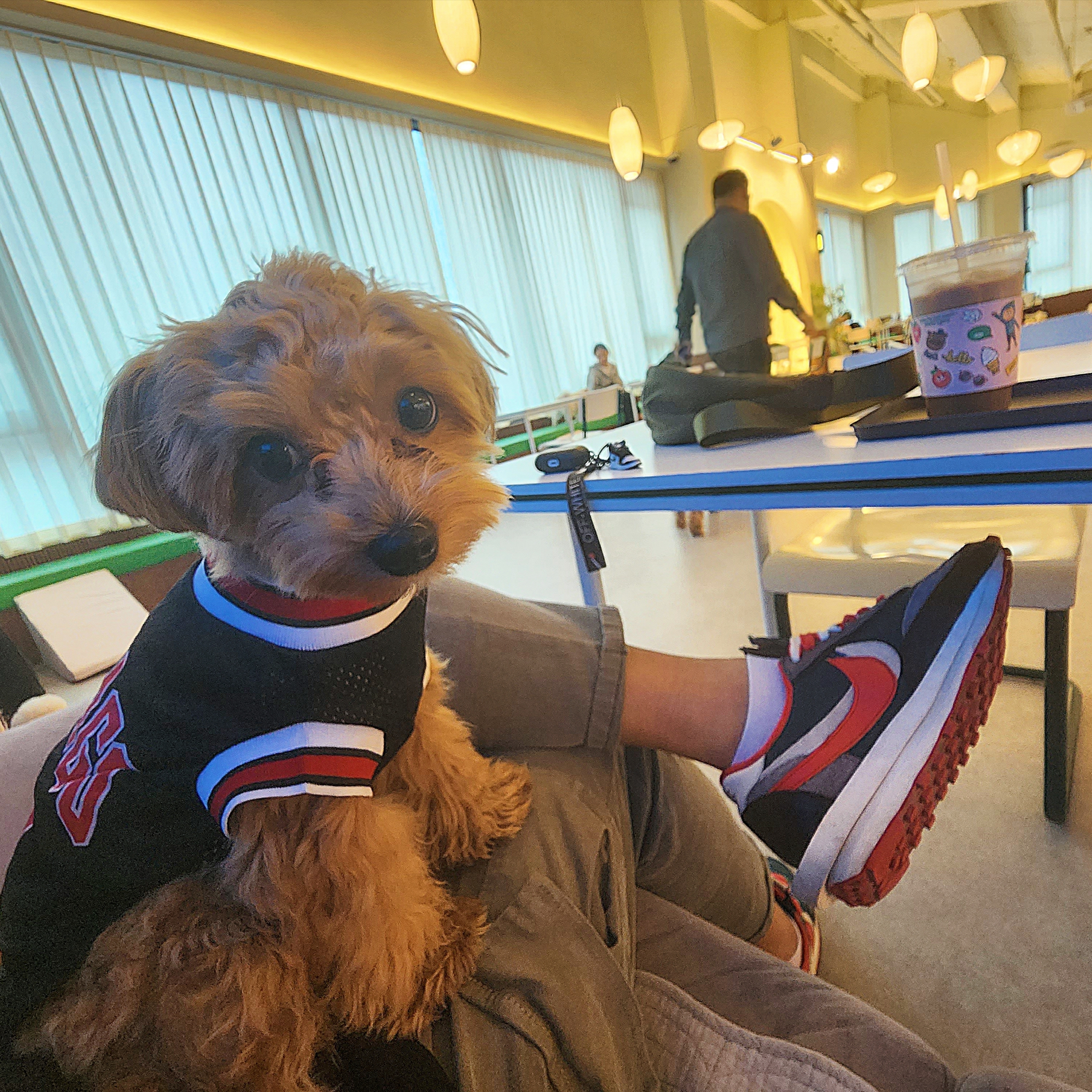 Nike x Sacai x Undercover LDWaffle Midnight Spruce University Red 착용 스타일