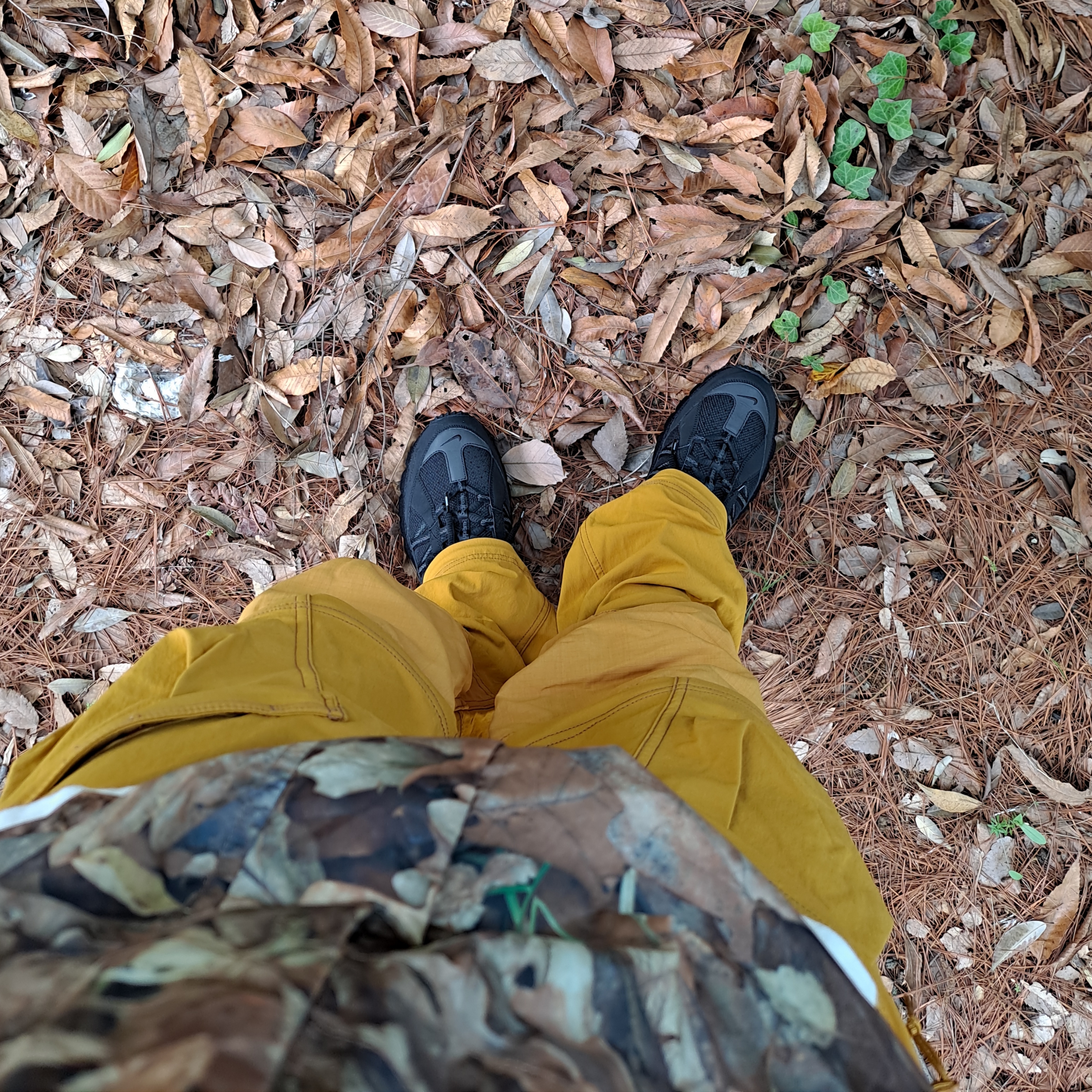 Supreme x The North Face Mountain Light Jacket Leaves - 16FW, Nike ACG Smith Summit Cargo Pants Olive Grey - US/EU 착용 스타일 - 2