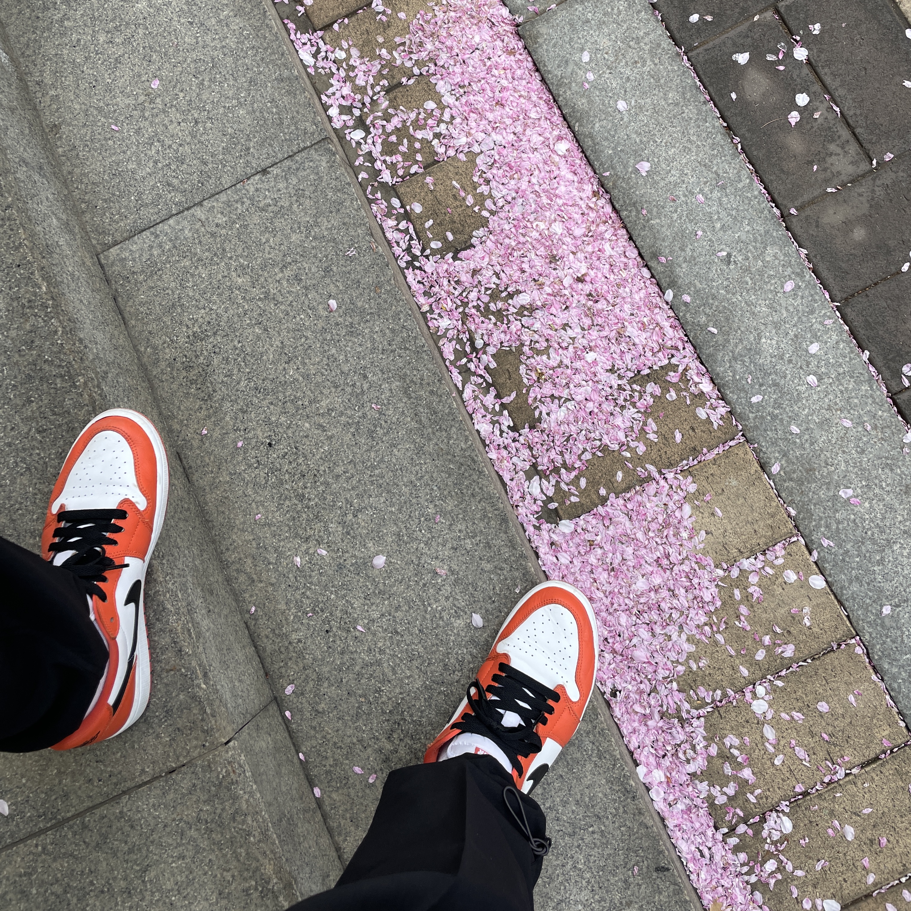 (W) Jordan 1 Low OG Starfish 착용 스타일