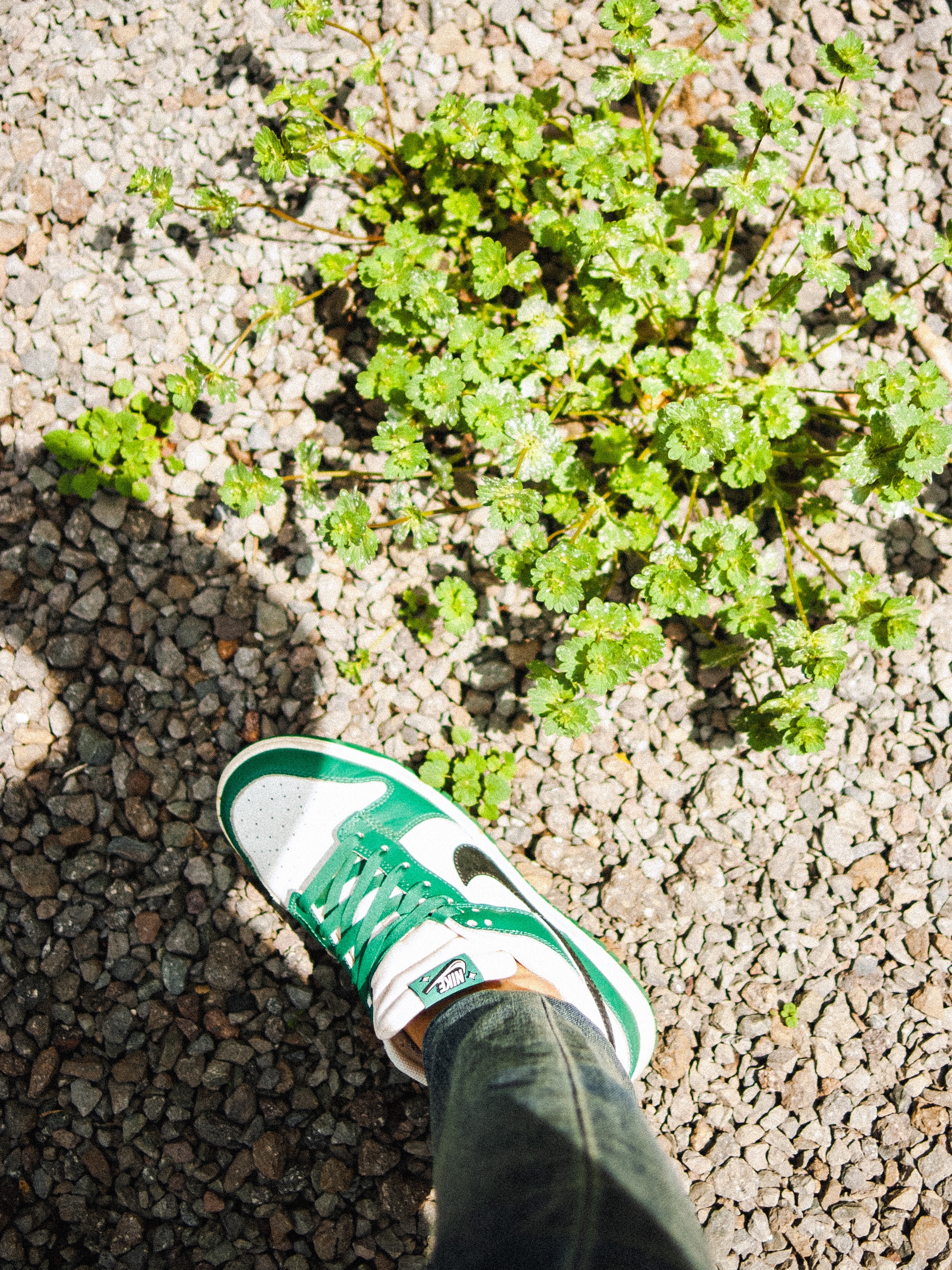 Nike Dunk Low Retro SE Jackpot Malachite 착용 스타일 - 3