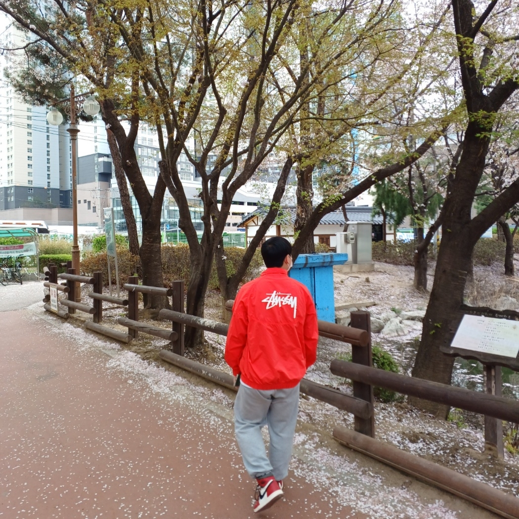 Jordan 1 Retro High OG Chicago 2022, Nike x Stussy Windrunner Jacket Habanero Red 착용 스타일