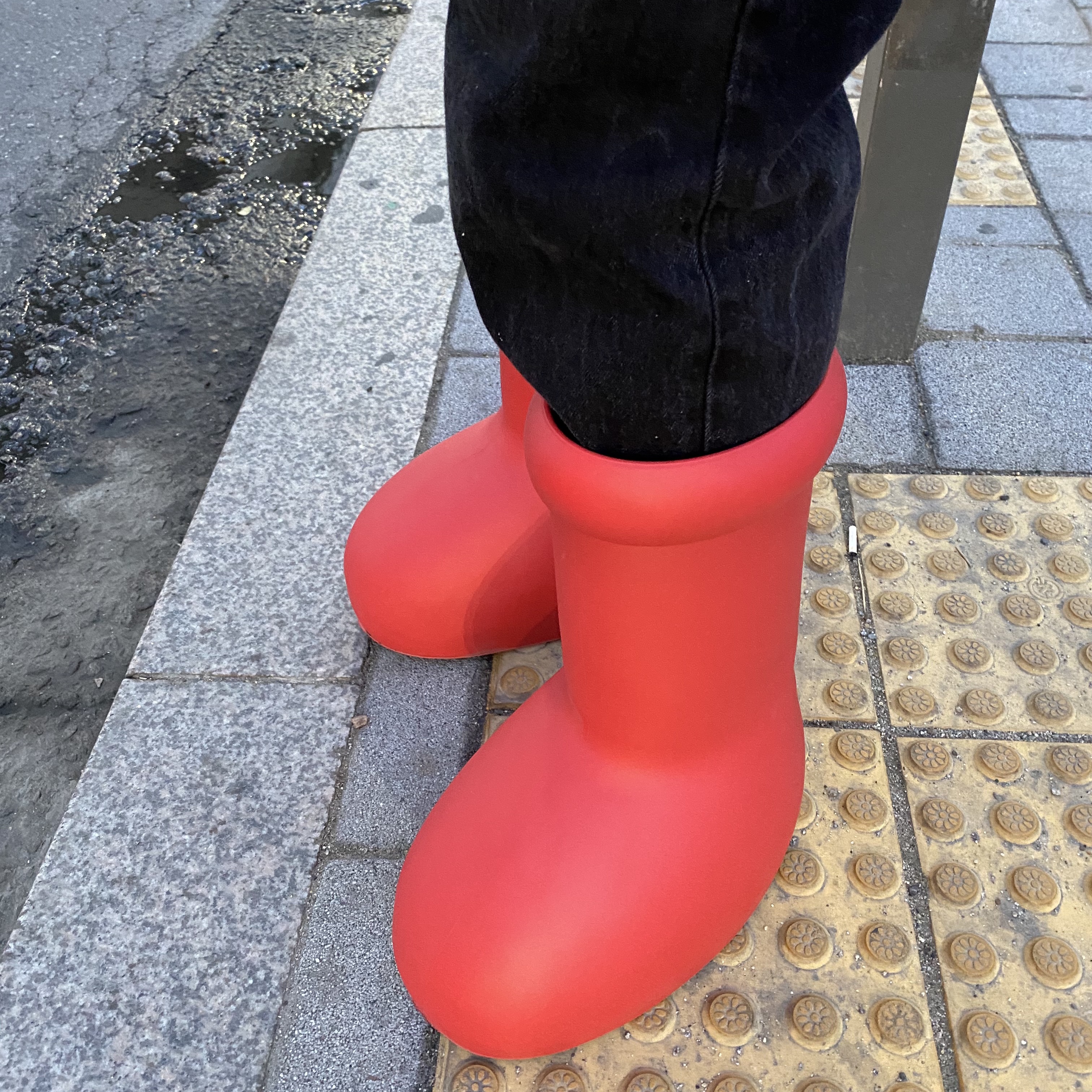 태희님의 스타일