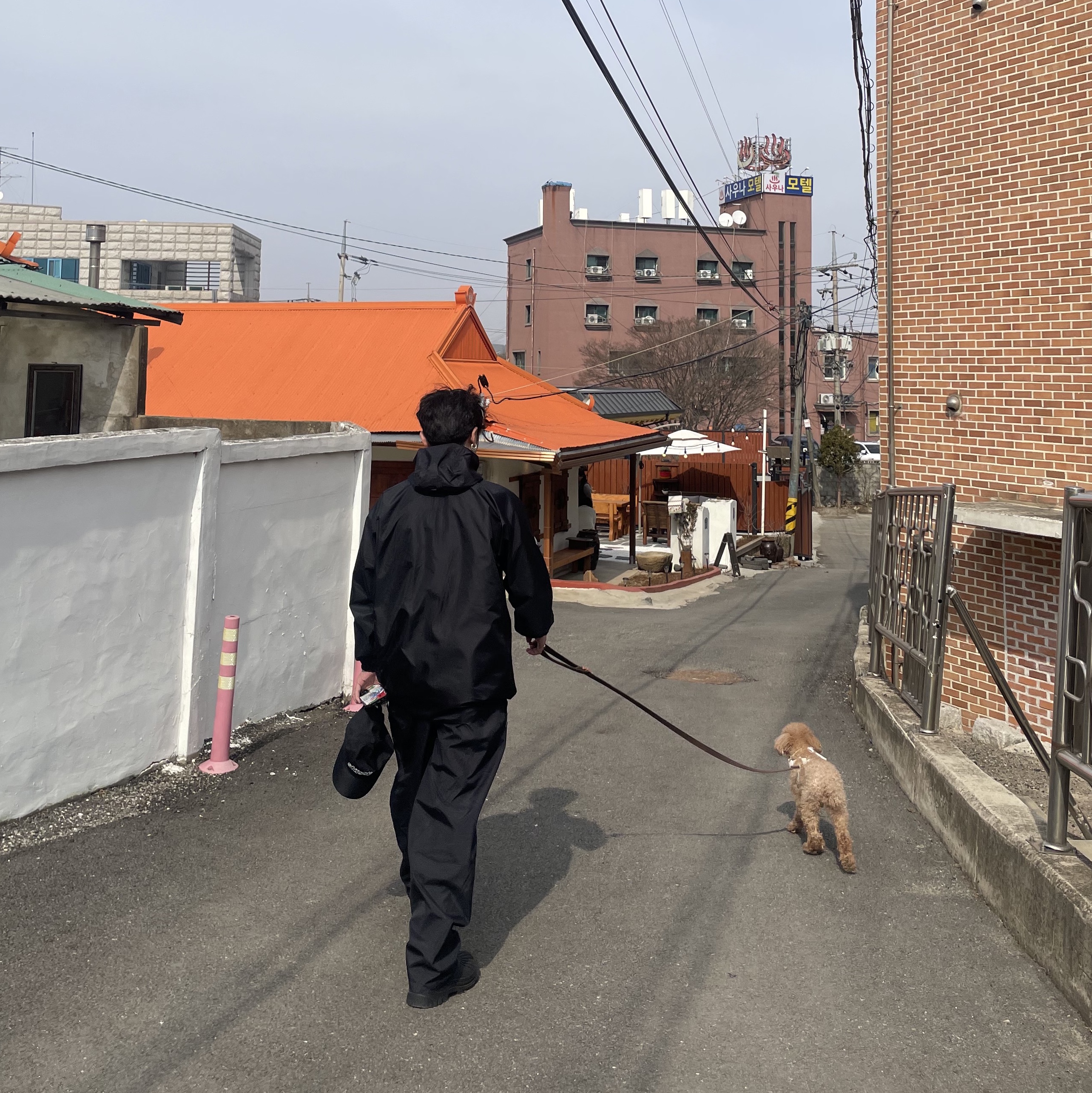 Sansan Gear Windblock Pants Black - 22FW 착용 스타일 - 2